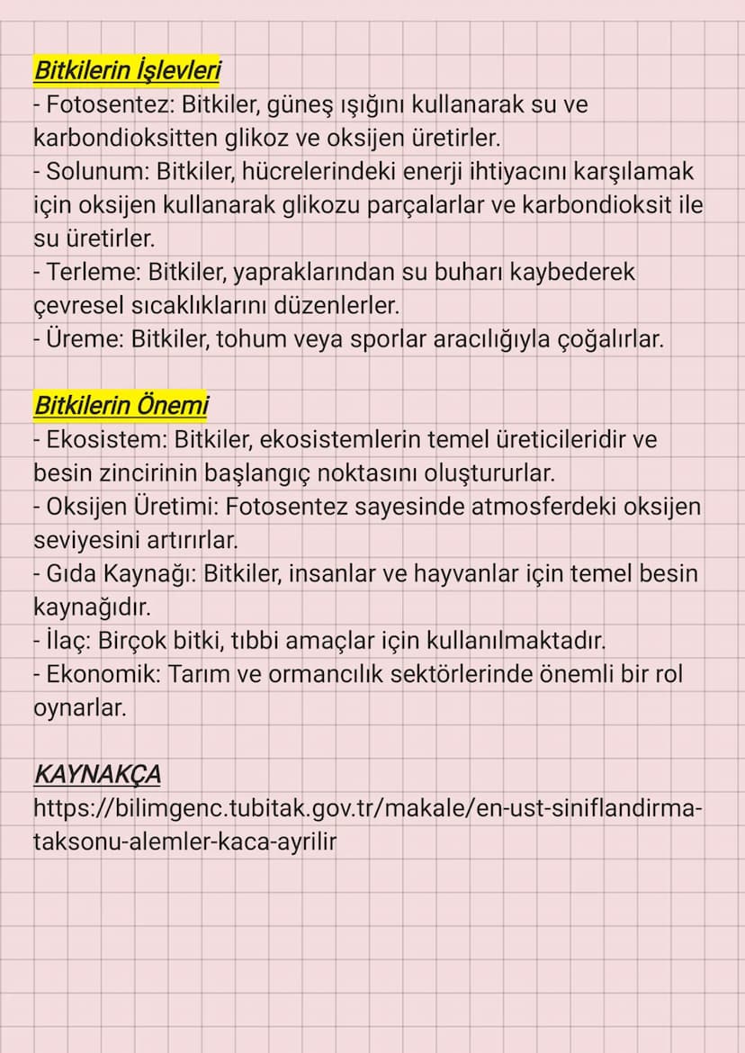 Sitoplazma
Çekirdekçik
Çekirdek
Bitkiler
BİTKİ HÜCRESİ
Endoplazmik retikulum
Hücre duvarı
Hücre zari
Hücre duvarı
Ribozom
Mitokondri
Kloropl