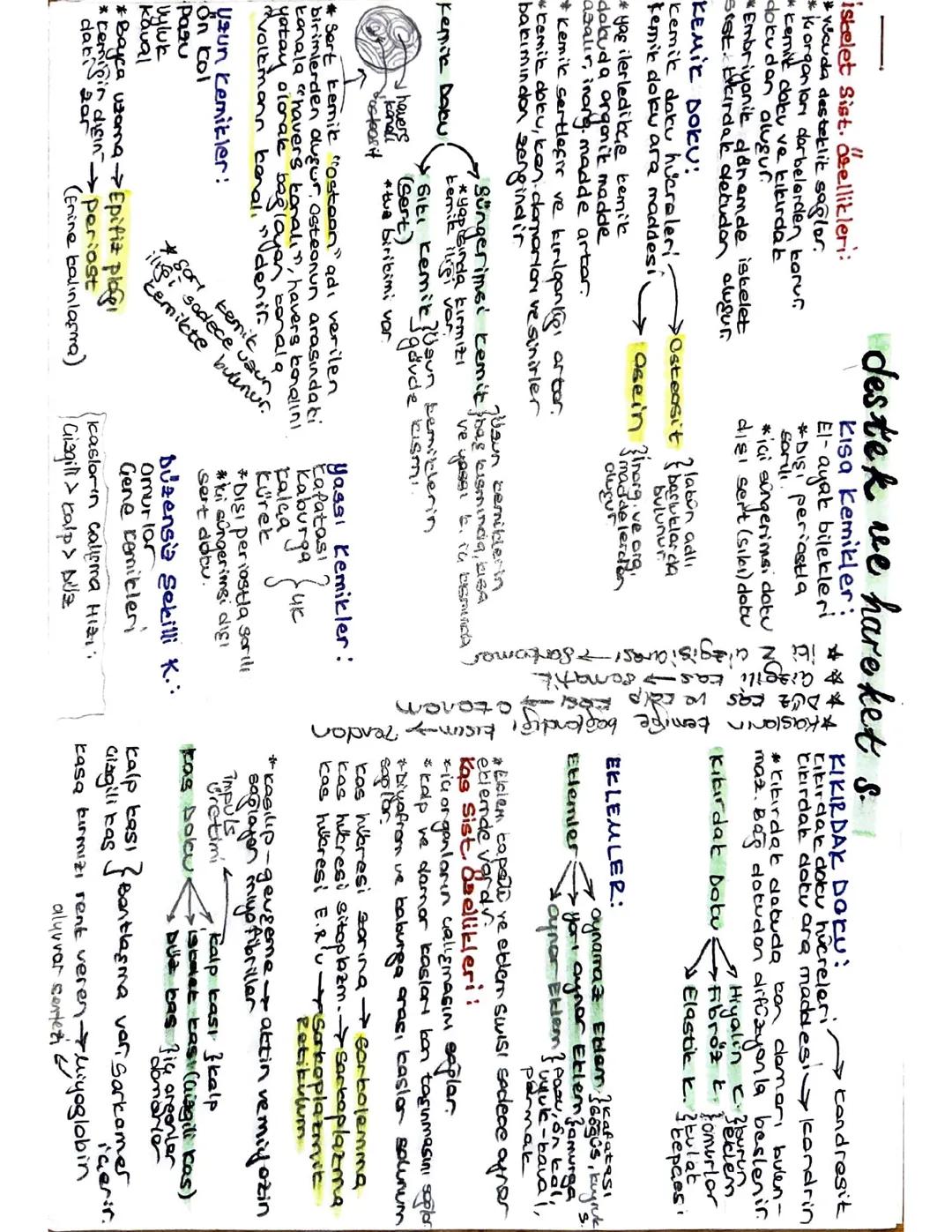 AYT BİYOLOJİ DESTEK VE HAREKET SİSTEMİ