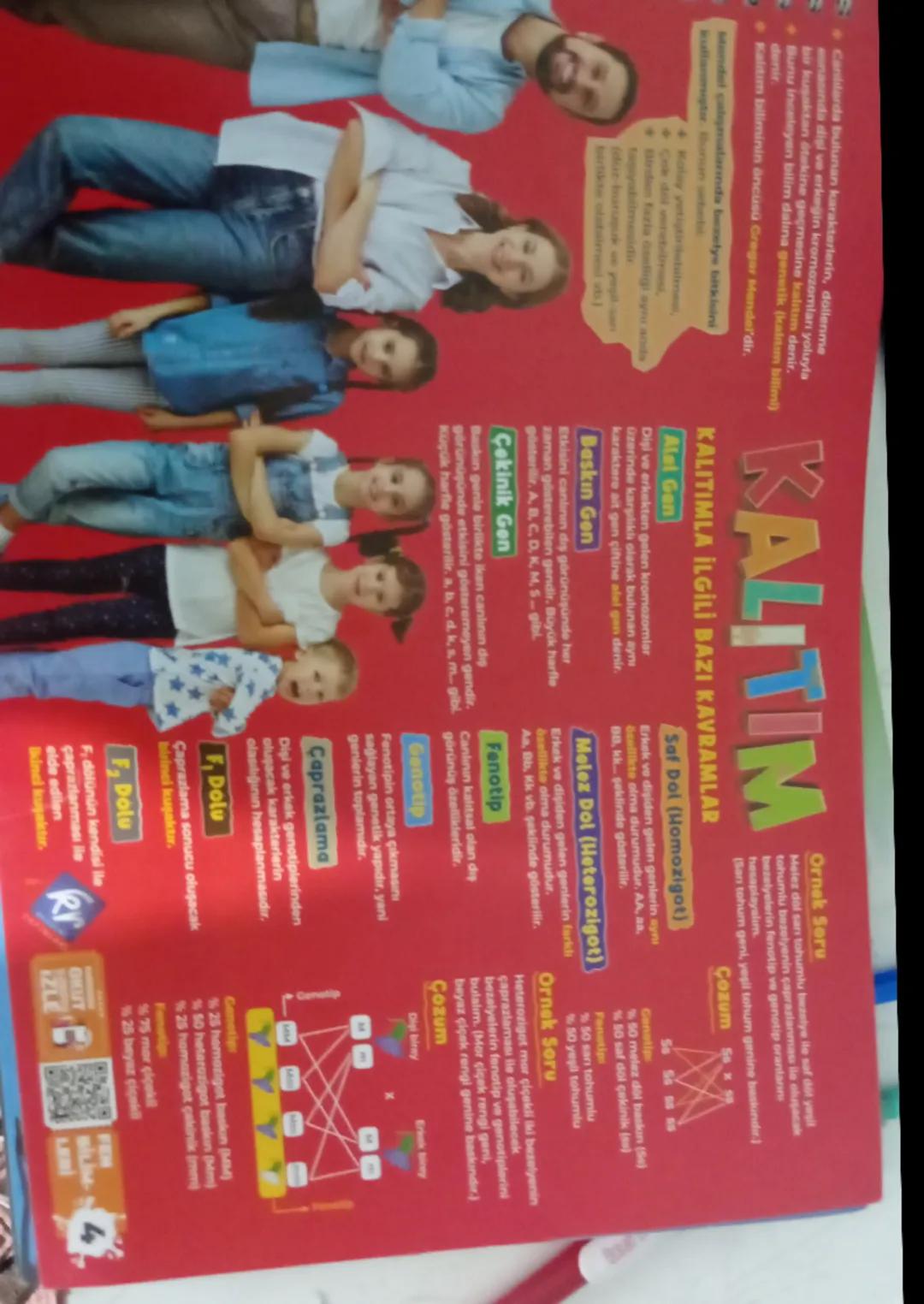 Canlılarda bulunan karakterlerin, döllenme
esnasında dişi ve erkeğin kromozomları yoluyla
bir kusaktan ötekine geçmesine kalıtım denir.
Bunu