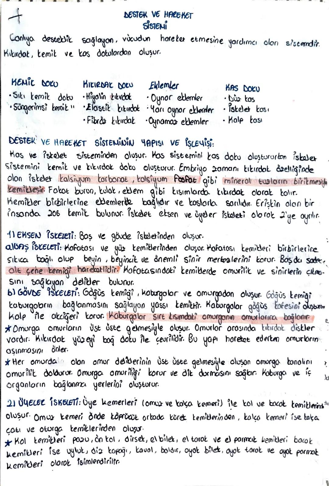 十
DESTEK VE HAREKET
SİSTEMİ
Canliya desteklik sağlayan, vücudun hareket etmesine yardımcı olon sistemdir.
Kikrdot, kemik ve kas dotulardan o