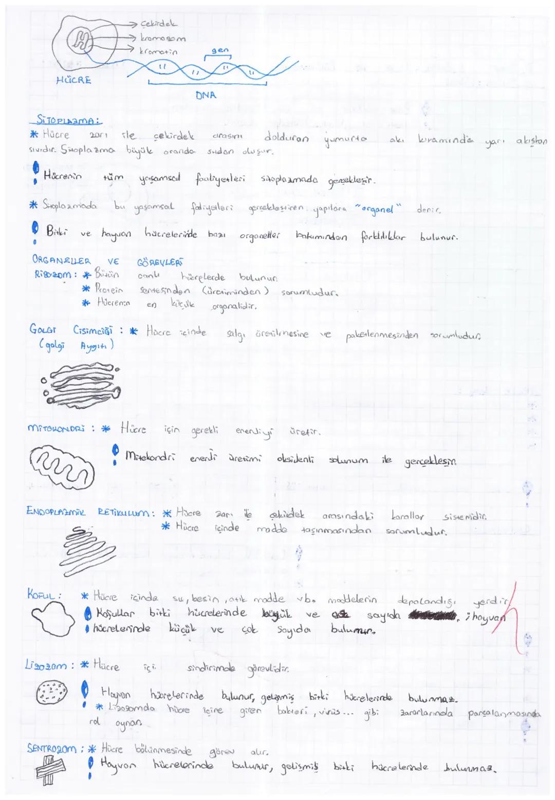 7. SINIF
2.UNITE: HÜCRE
VE BÖLÜNMELER
1.Bölüm: HüCRE_
*Bir canlının,
conlilik özelliği
gösteren
yapı
"
"
en küçük
birimine
hücre denir
• Baz