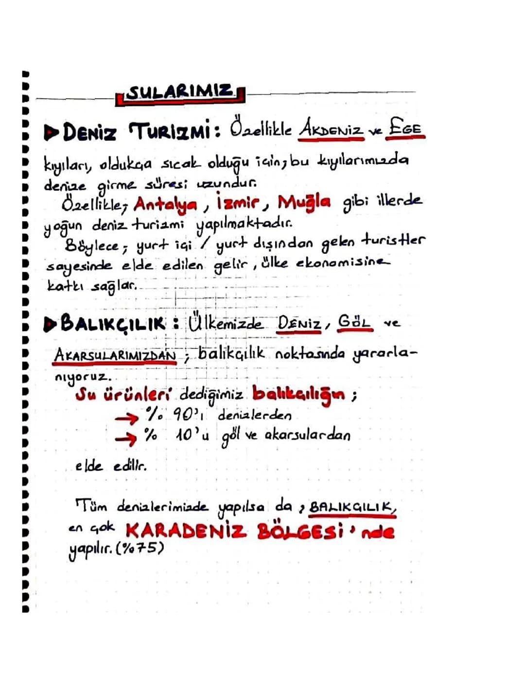 Türkiye'de Turizm ve Enerji - Proje Görevi