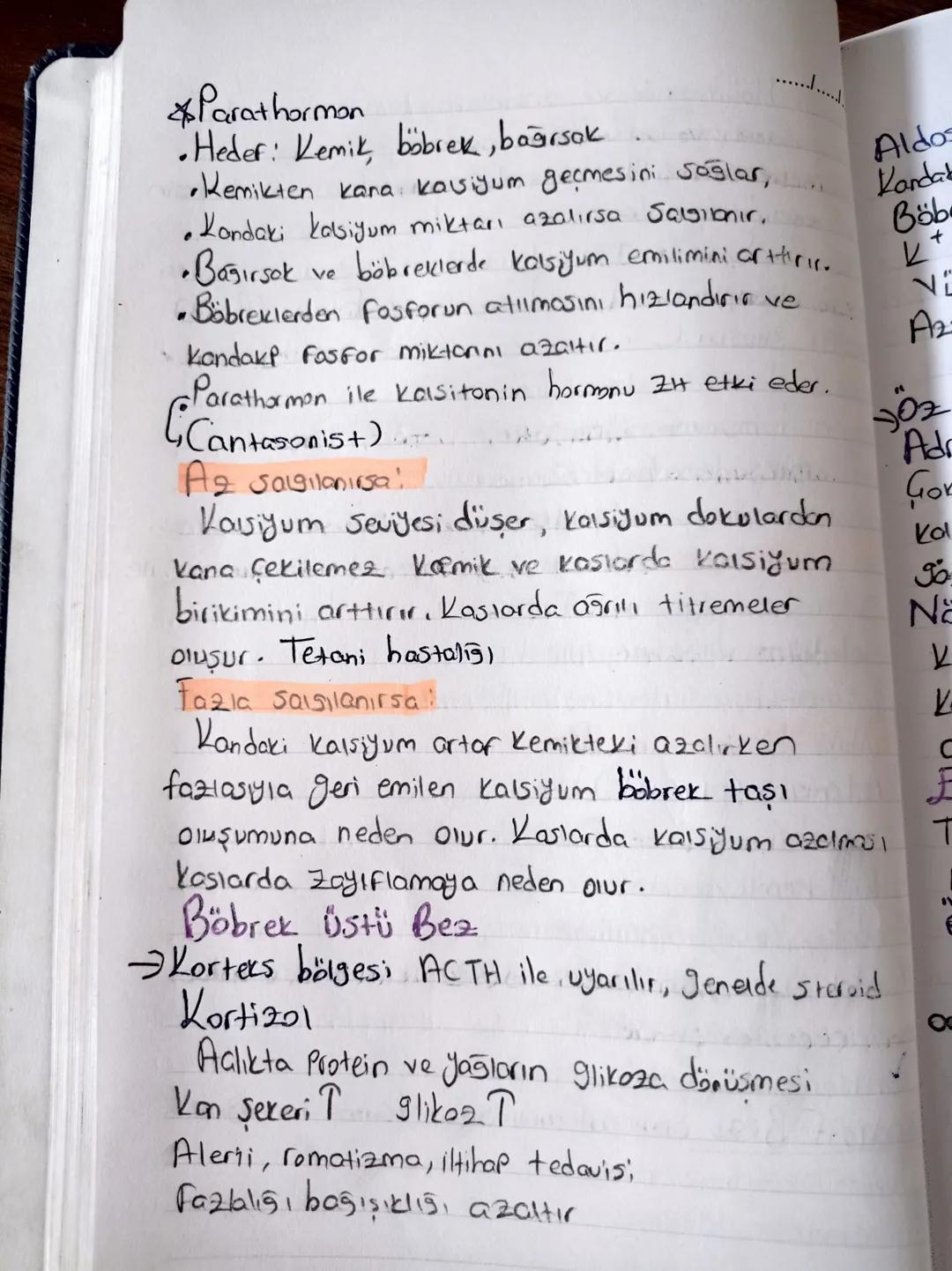 "ENDOKRIN SISTEM "

Herman!

•Organik maddelerdir. Sadece hedef organda etkilerini
•Hedef organlara kan yoluyla taşınırlar. gösterirler
•Çal