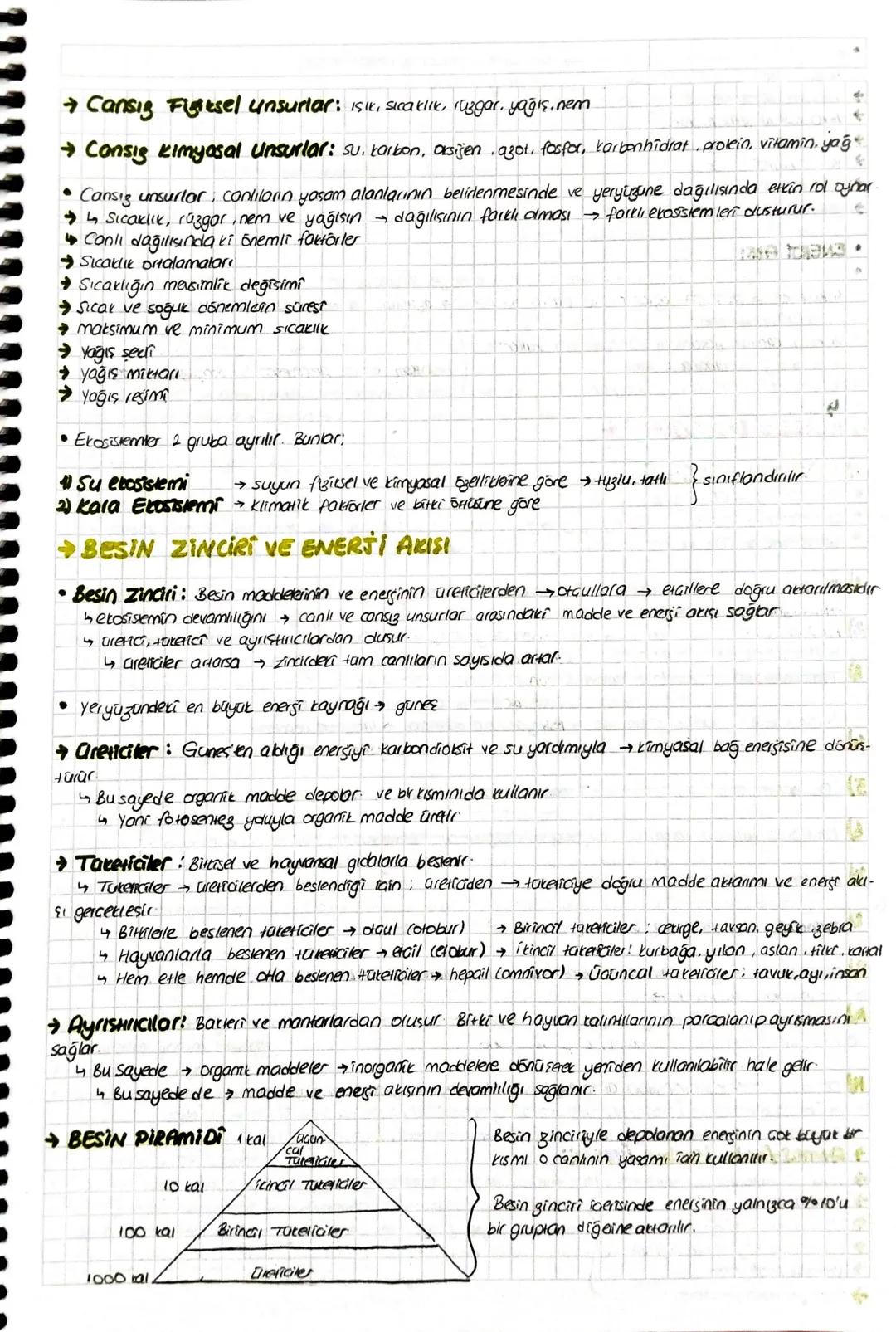 EKOSISTEM + / ENERJI ARISI I MADRE DONGULERI
EKOSISTEM UNSURLARI
ACANU UNSURLAR
→Bitkiler
Hayvanlar
Ayristiricilar
EKOSISTEM
B)CANSB UNSURLA