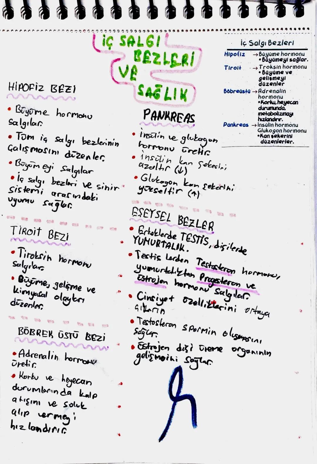 HIPOFİZ BEZI
LIÇ SALGIL
• Büyüme hormonu
Salgılar.
(VEEZLERI
• Tum iç salgı bezlerinin
Çalışmasını düzenler.
• Büyümeyi Salgılar
SAĞLIK
PANK