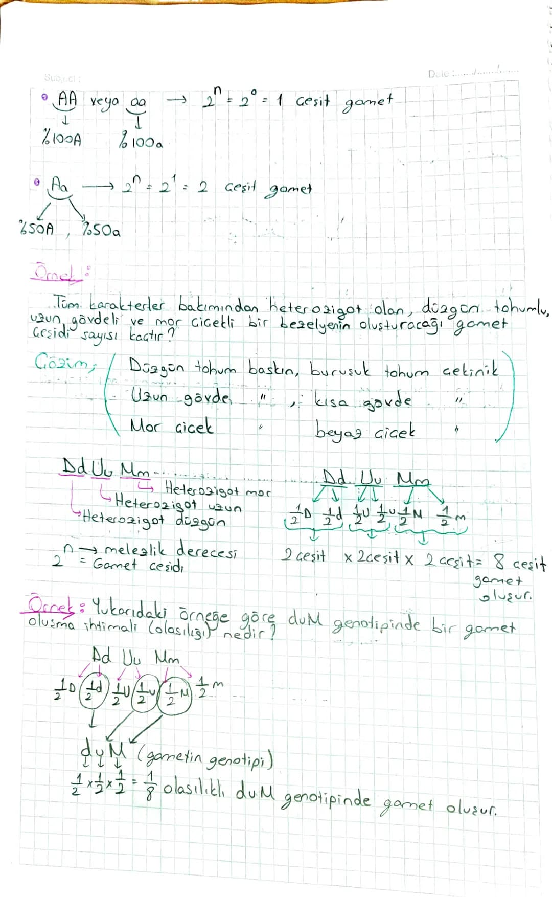 Mitoz ve Mayor
Sf 45
Tablo 1.2
BAK!
KALITIM VE BİYOLOJİK GESITLILIK
Genetik : Canlı soyları arasındaki benzerlik ve farklılıkların
ortaya çı