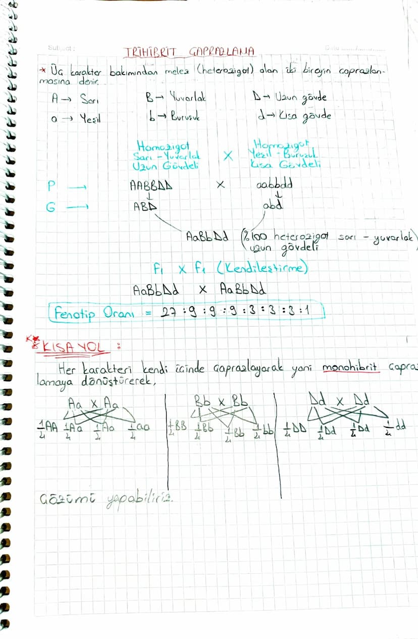 Mitoz ve Mayor
Sf 45
Tablo 1.2
BAK!
KALITIM VE BİYOLOJİK GESITLILIK
Genetik : Canlı soyları arasındaki benzerlik ve farklılıkların
ortaya çı