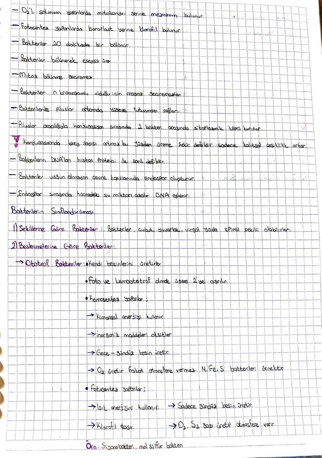 agni familyoda ise
CANLILAR ALEMI
Batteriler Arteler, Protistalo Mantola
Bitki
Prokaryot
と
Okaryot
BAKTERILER
-Prokaryottur
-Tek hücrelidic.