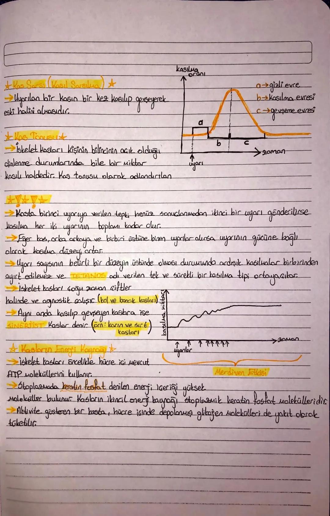 DESTEK VE HAREVET SISTEMI
Kıkırdak Doku
Hücreleri KONDROSIT, bu hücreleriA
arasını dolduran madde, KONDRIN
olarak adlandırılır
Hinalin
Elast