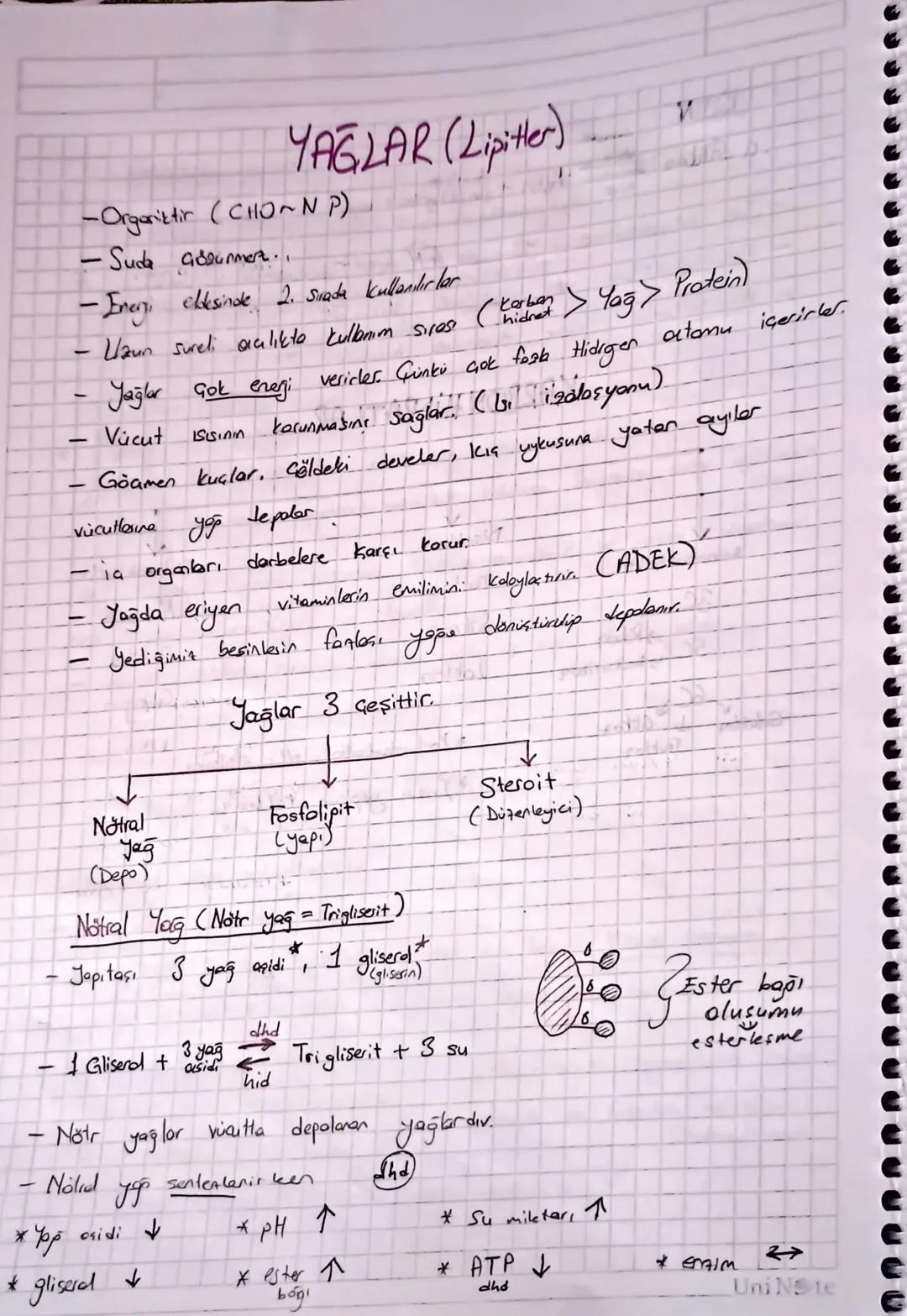 -
YAĞLAR (Lipiter)
-Organiztir (CHO~NP)
- Suda assumment..
- Enery, eldesinde 2. sırada kullanılırlar
Laun sureli acılıkte kullanım sires.
J