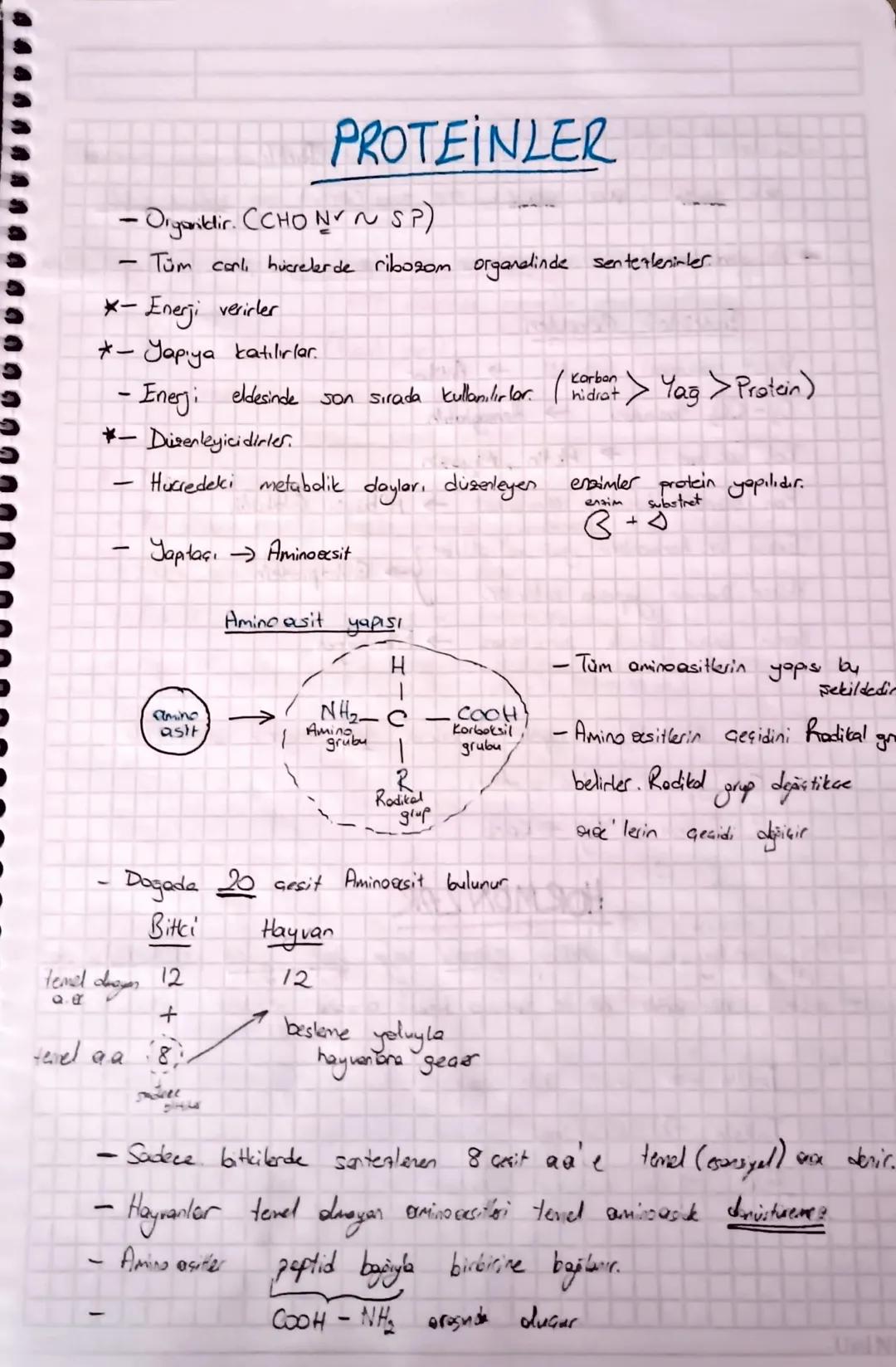 -
YAĞLAR (Lipiter)
-Organiztir (CHO~NP)
- Suda assumment..
- Enery, eldesinde 2. sırada kullanılırlar
Laun sureli acılıkte kullanım sires.
J