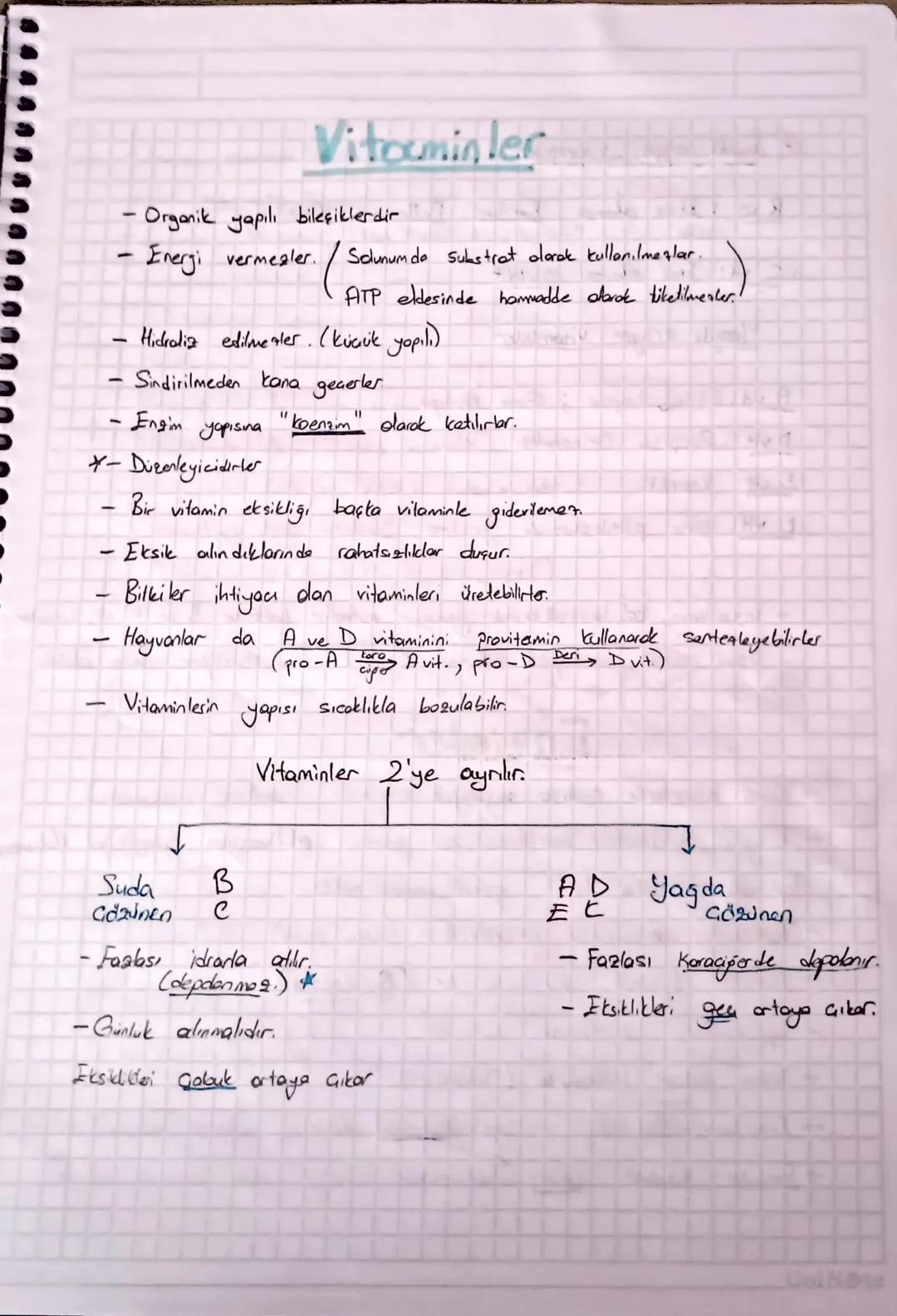 -
YAĞLAR (Lipiter)
-Organiztir (CHO~NP)
- Suda assumment..
- Enery, eldesinde 2. sırada kullanılırlar
Laun sureli acılıkte kullanım sires.
J