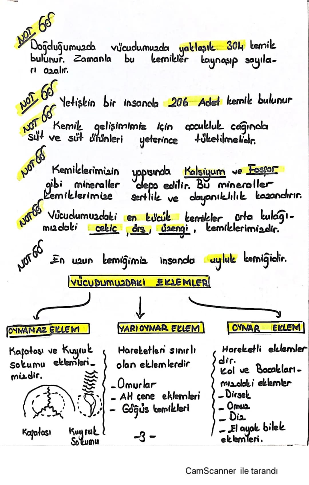 6.SINIF 2.UNITE
VÜCUDUMUZDAKİ SİSTEMLER
DESTEK VE HAREKET SISTEMI
İSKELET SİSTEMİ
lar
ISKELET
Ayakta durmamizi sağ-
↳ Vücudumuza sekil verir