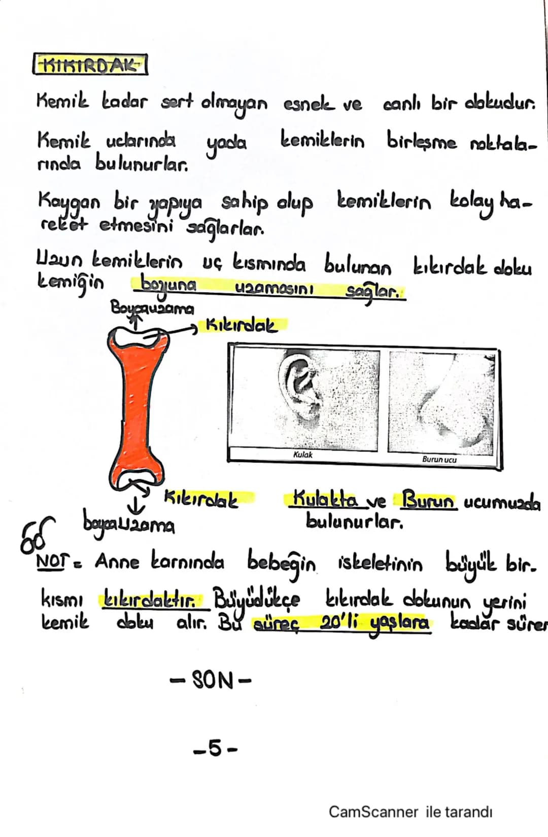 6.SINIF 2.UNITE
VÜCUDUMUZDAKİ SİSTEMLER
DESTEK VE HAREKET SISTEMI
İSKELET SİSTEMİ
lar
ISKELET
Ayakta durmamizi sağ-
↳ Vücudumuza sekil verir