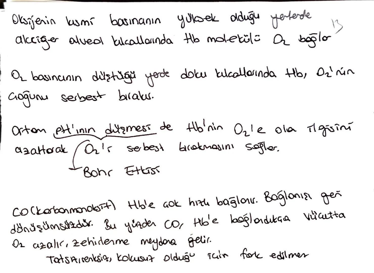 Oksijenin kasmi basınanın yüksek olduğu yetude
akciğer alveol kulallarında Hb molekülü a bağlar
O₂ basıncının düştüğü yerde doku kulallarınd