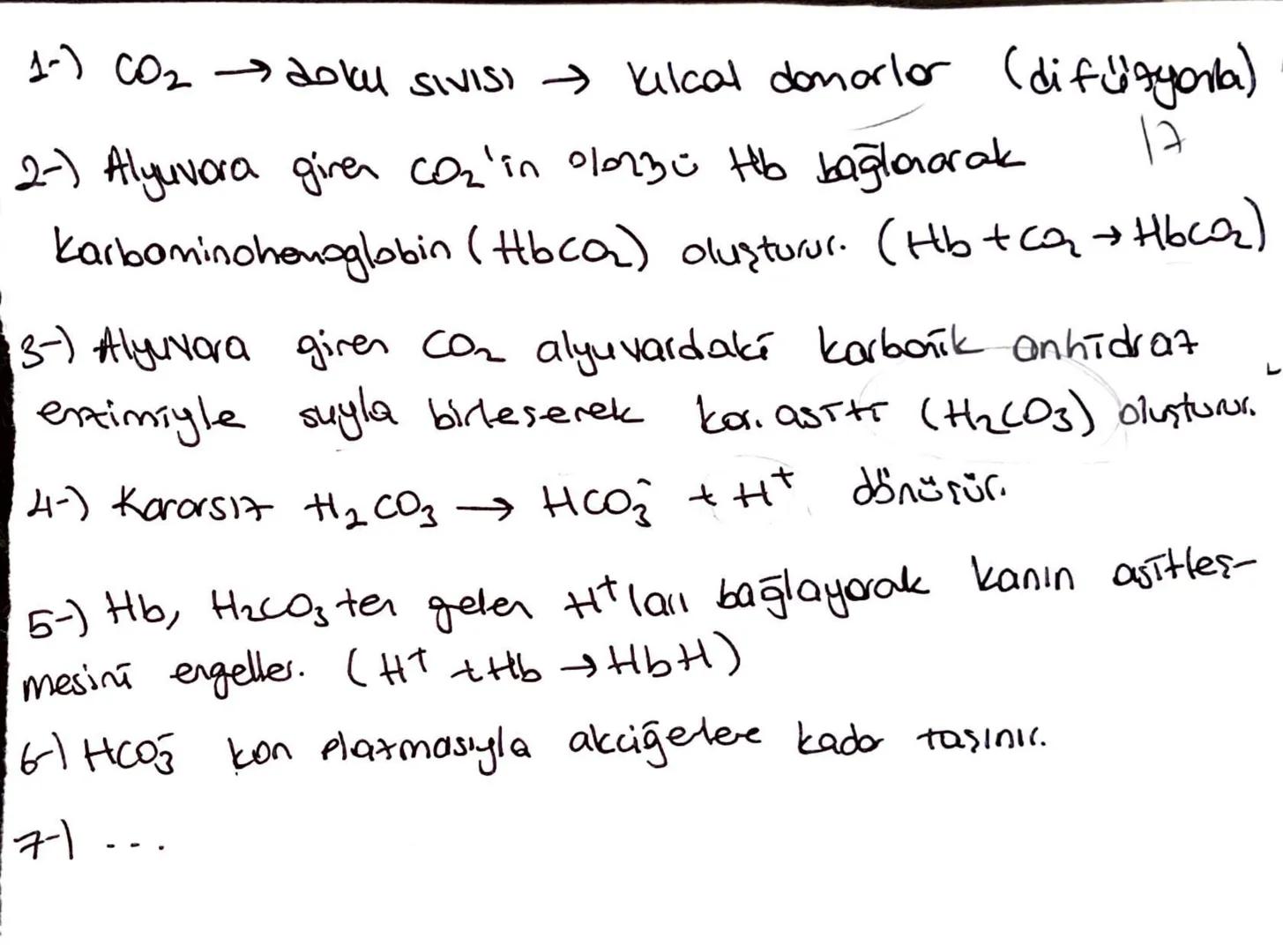 Oksijenin kasmi basınanın yüksek olduğu yetude
akciğer alveol kulallarında Hb molekülü a bağlar
O₂ basıncının düştüğü yerde doku kulallarınd