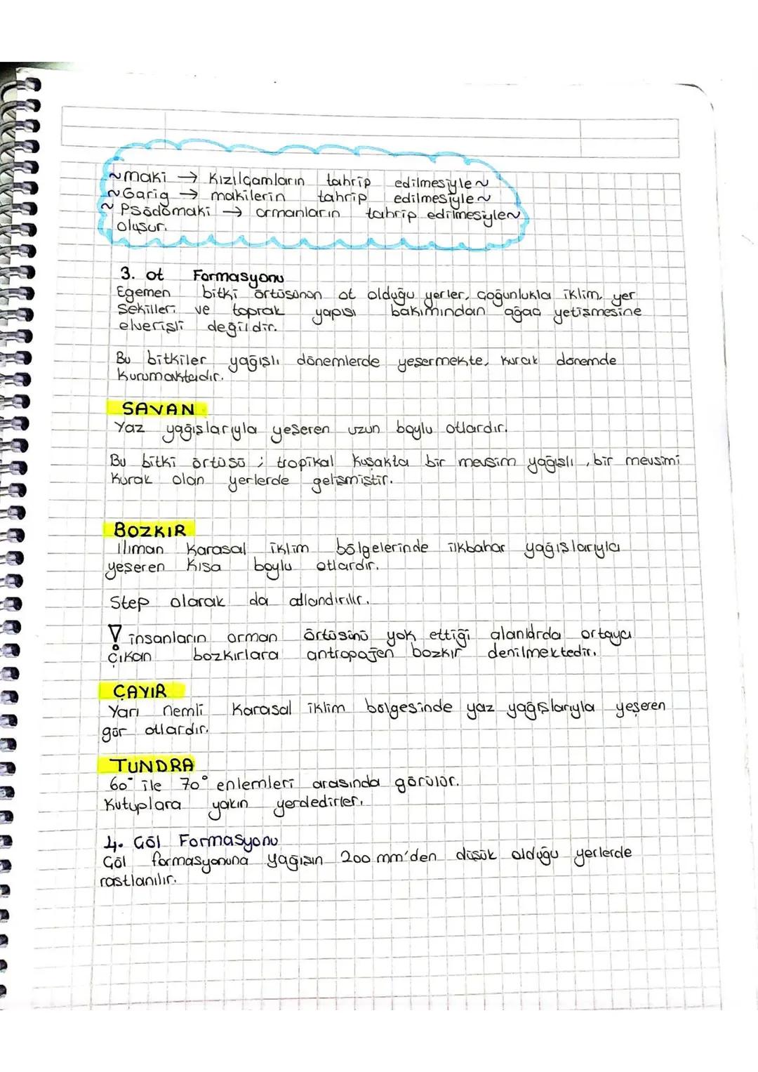 Garig makilerin
maki Kızılçamların
tahrip
tahrip
edilmesiyle~
edilmesiyle
Psodomaki ormanların. tahrip edilmesiylen
olusur
3. ot
Formasyonu
