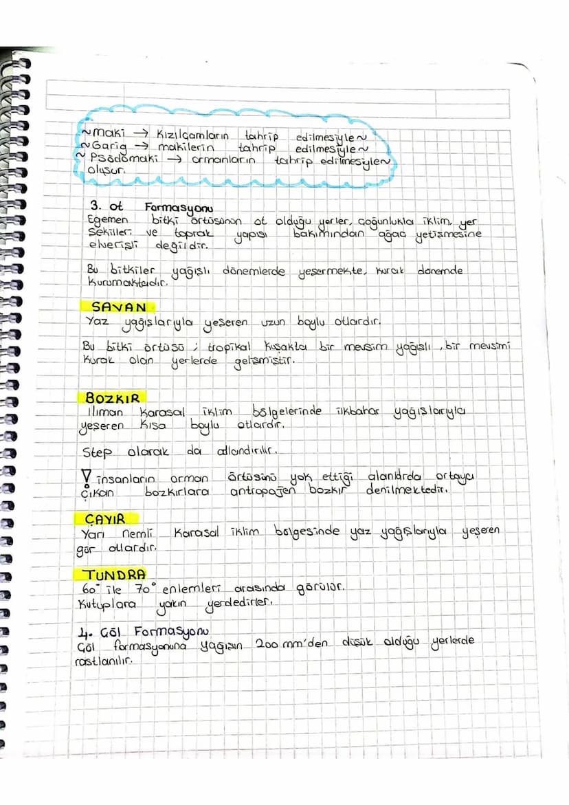 Garig makilerin
maki Kızılçamların
tahrip
tahrip
edilmesiyle~
edilmesiyle
Psodomaki ormanların. tahrip edilmesiylen
olusur
3. ot
Formasyonu
