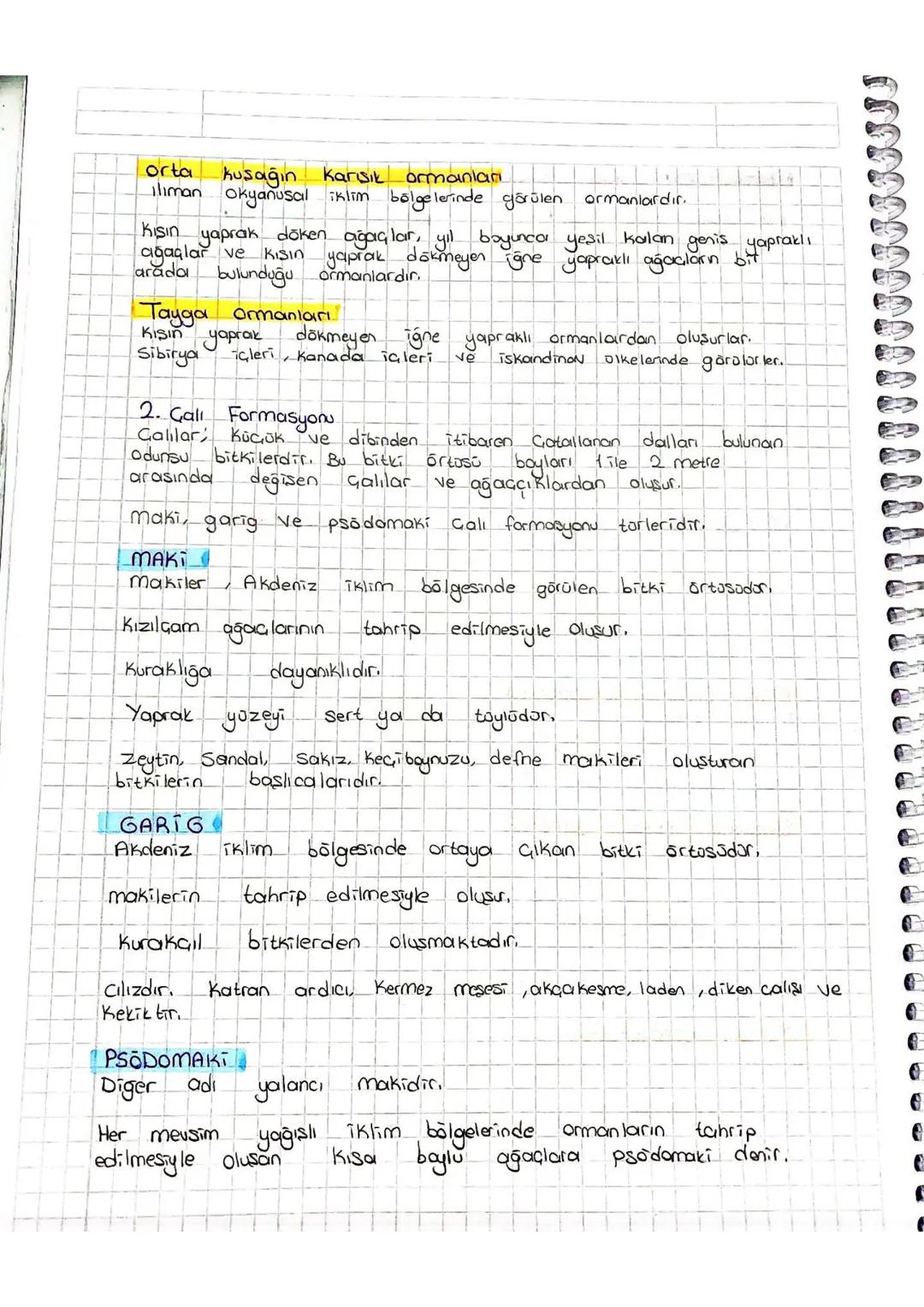 Garig makilerin
maki Kızılçamların
tahrip
tahrip
edilmesiyle~
edilmesiyle
Psodomaki ormanların. tahrip edilmesiylen
olusur
3. ot
Formasyonu
