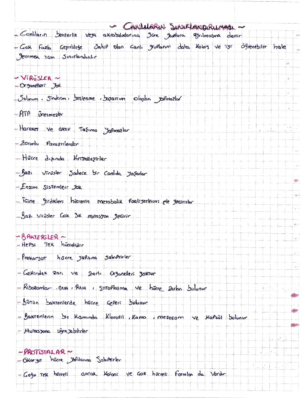 Canlıların  sınıflandırılması 