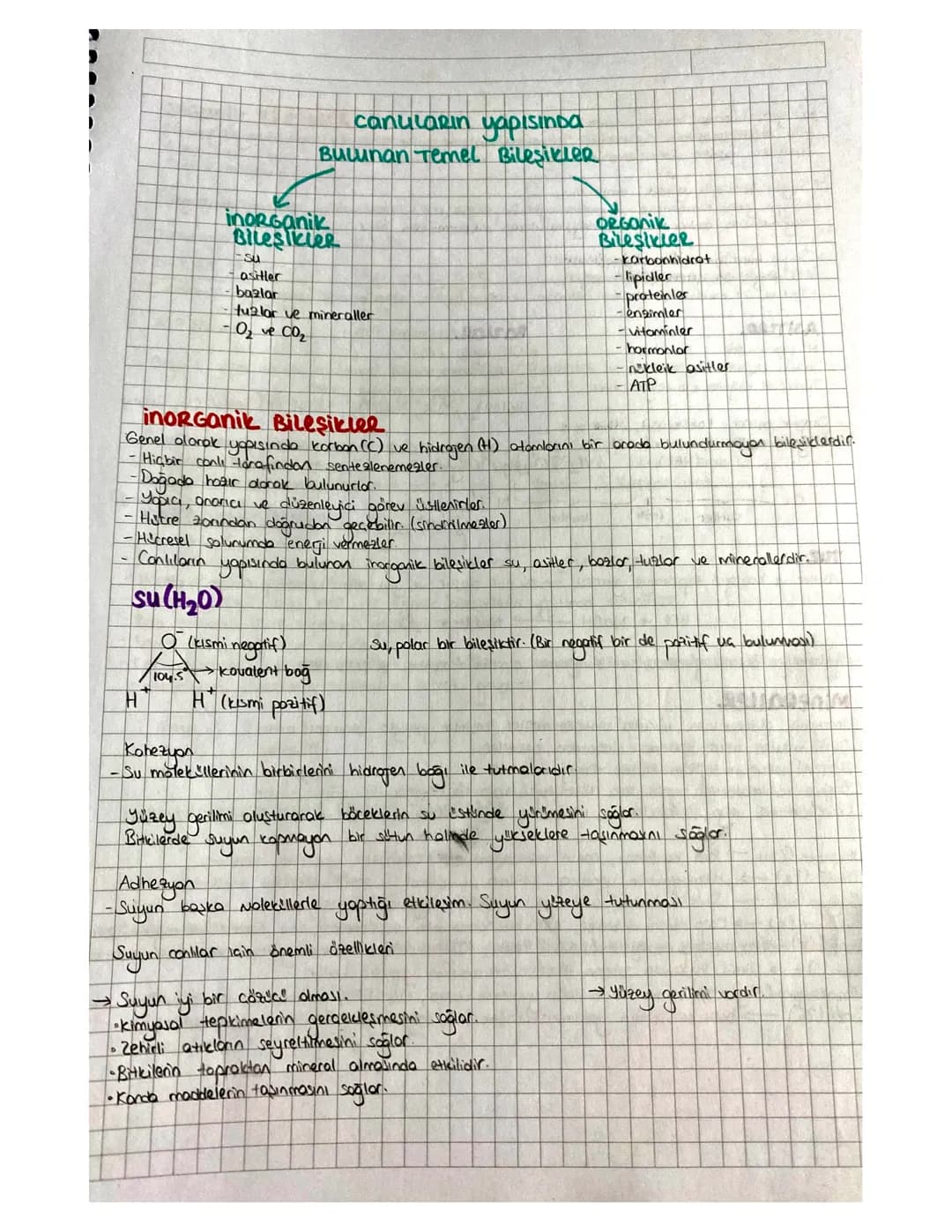 İnorganik Maddeler Ders Notu