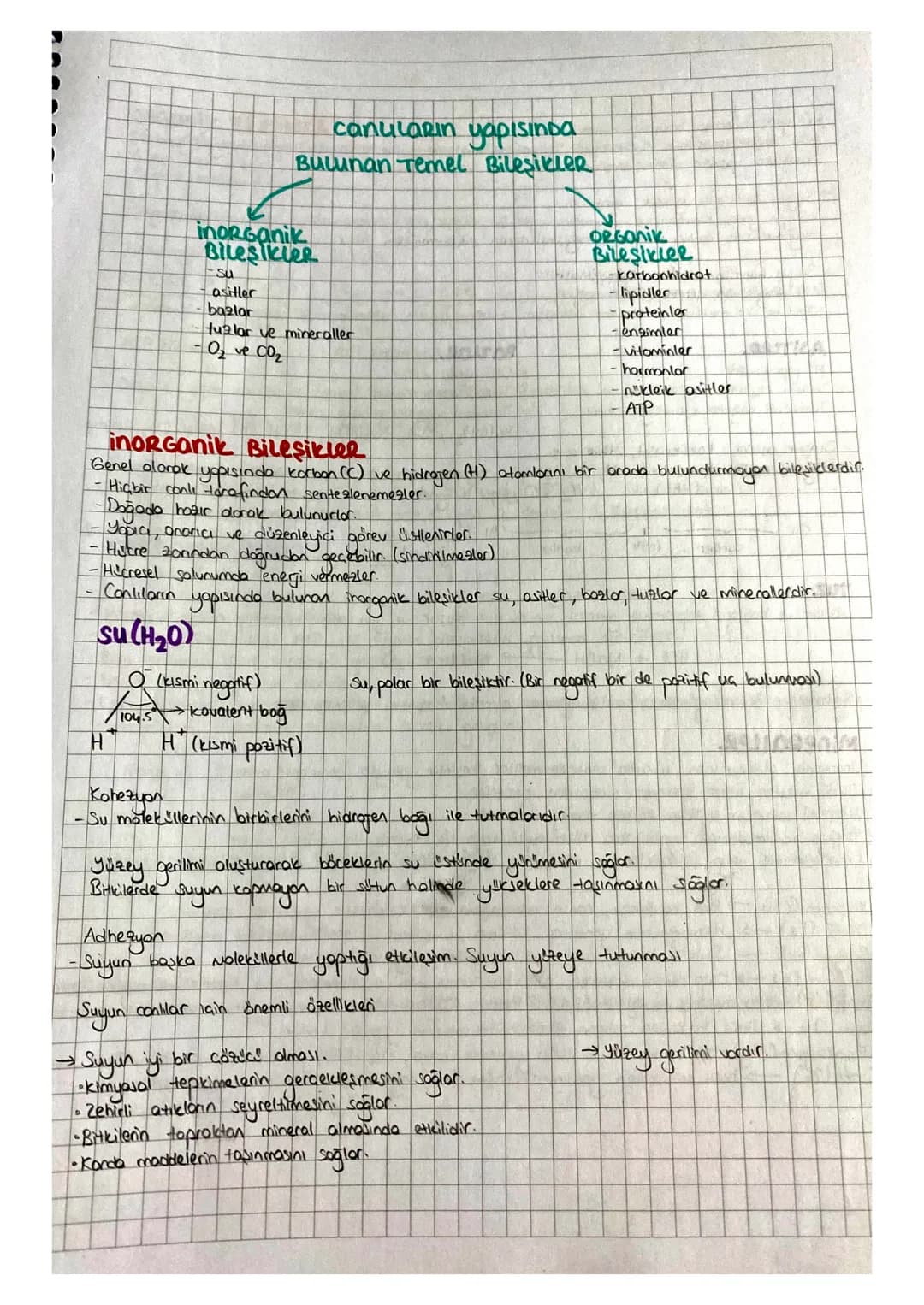 canularin yapisinga
Bulunan Temel Bileşikler
inorganik
Bileşikler
Su
asitler
bazlar
tuzlar ve mineraller
O₂ve CO₂
ORGONik
Bileşikler
-karbon