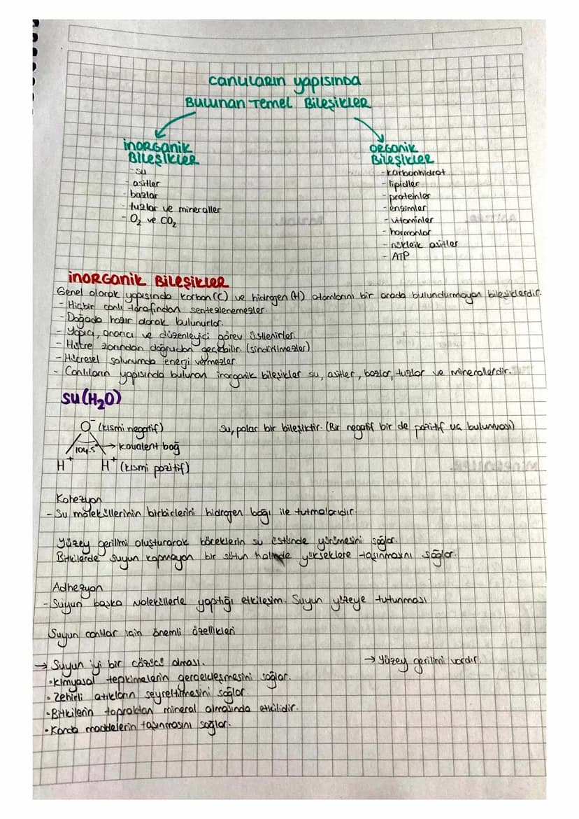 canularin yapisinga
Bulunan Temel Bileşikler
inorganik
Bileşikler
Su
asitler
bazlar
tuzlar ve mineraller
O₂ve CO₂
ORGONik
Bileşikler
-karbon