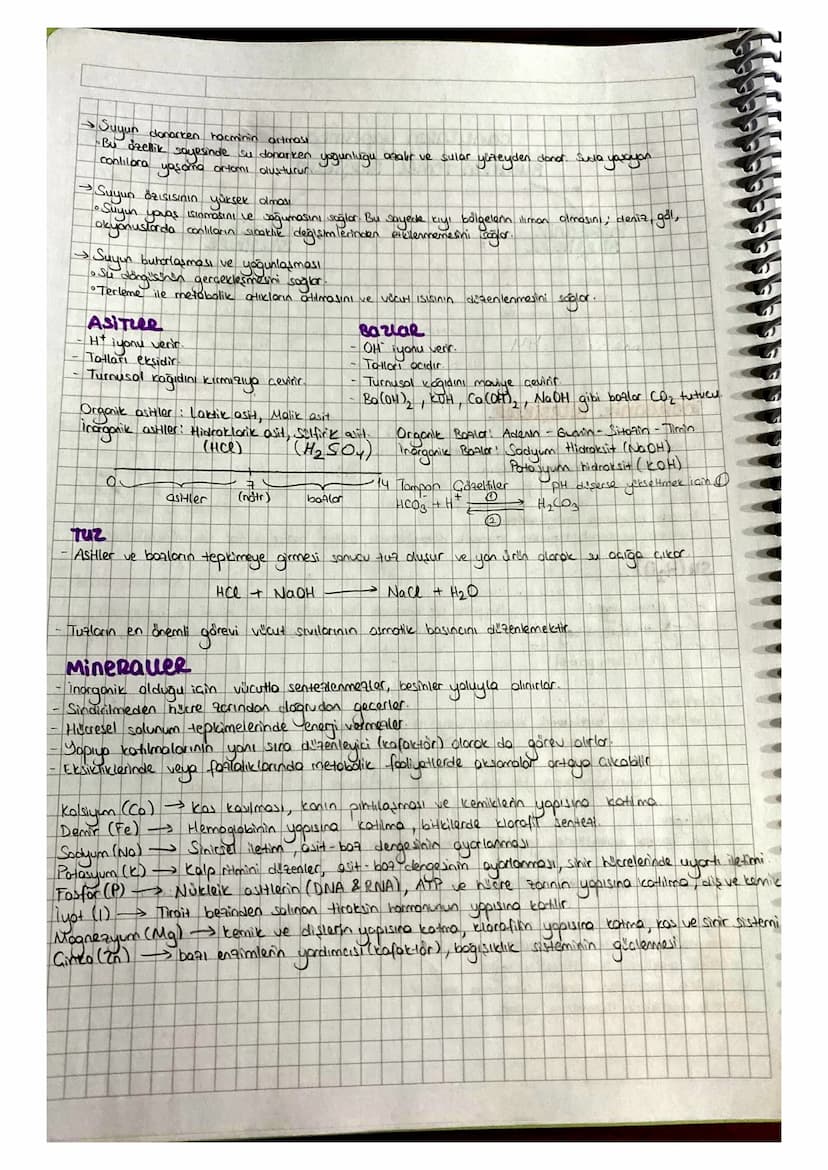 canularin yapisinga
Bulunan Temel Bileşikler
inorganik
Bileşikler
Su
asitler
bazlar
tuzlar ve mineraller
O₂ve CO₂
ORGONik
Bileşikler
-karbon