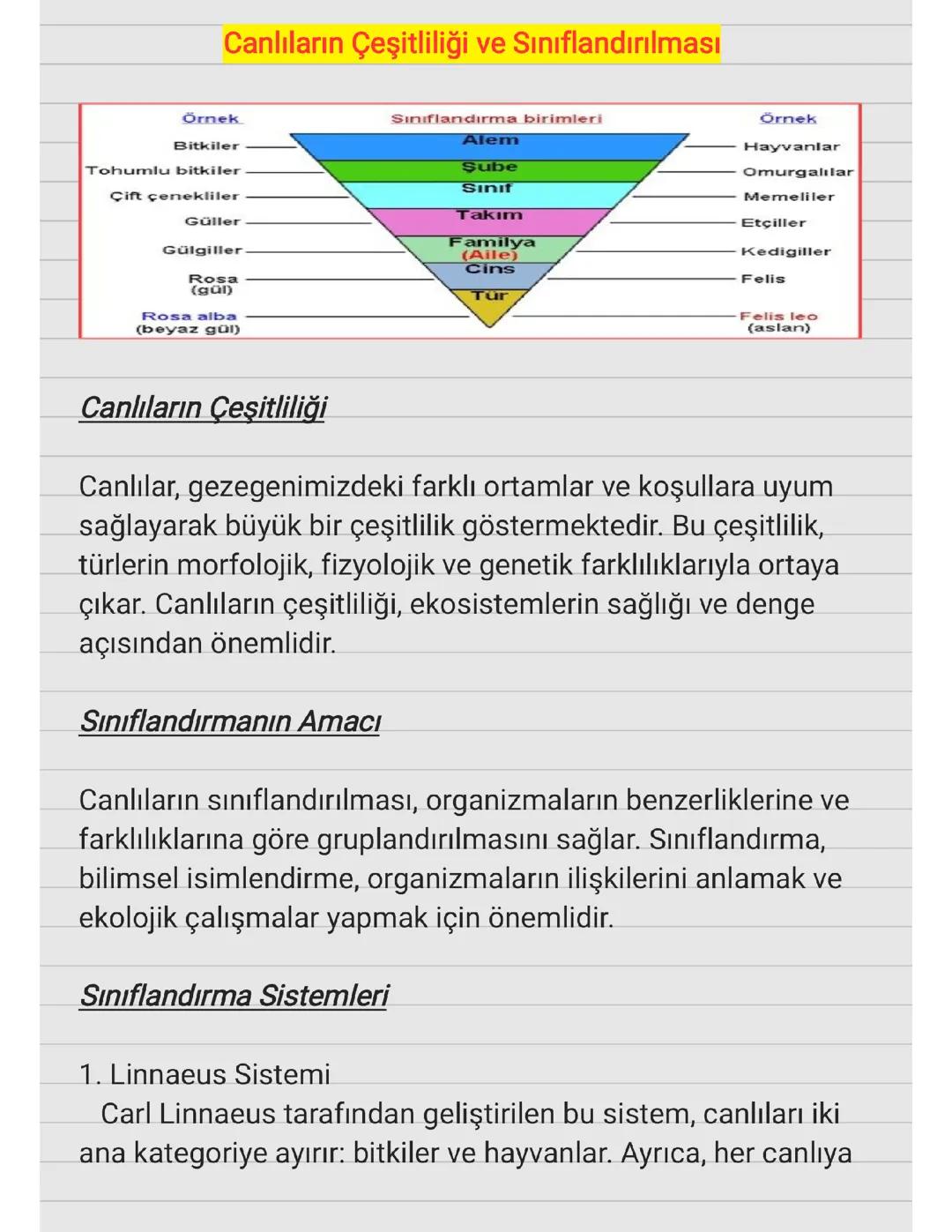 9.SINIF - CANLILARIN ÇEŞİTLİLİĞİ VE SINIFLANDIRILMASI 