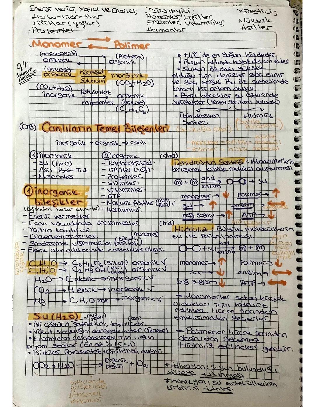 Canlıların Temel Bileşenleri İNORGANİK BİLEŞİKLER