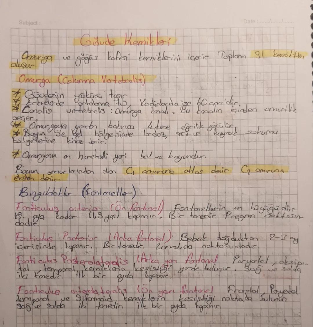 Kemik Türleri ve Görevleri