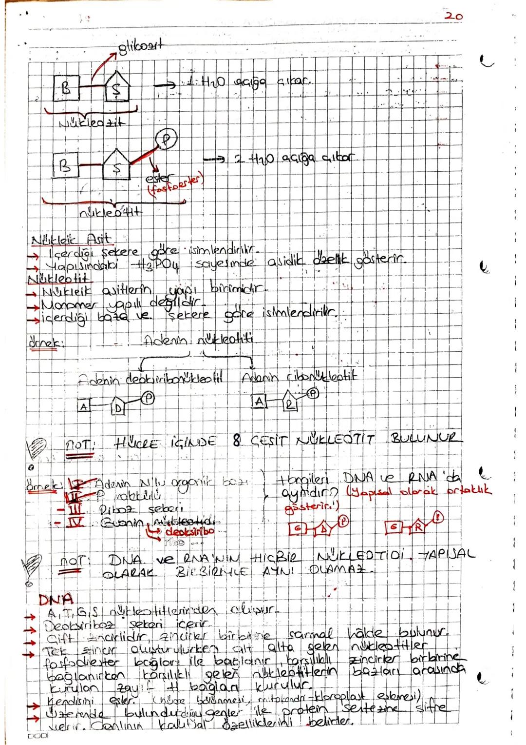 arner Aşağıdakilerden hangisi protemtere ceaitlilik kalsondirer
etmenlerdendir ?
I Yapısındaki peptit bağı sayısının fackliliği
I. Aminoasit