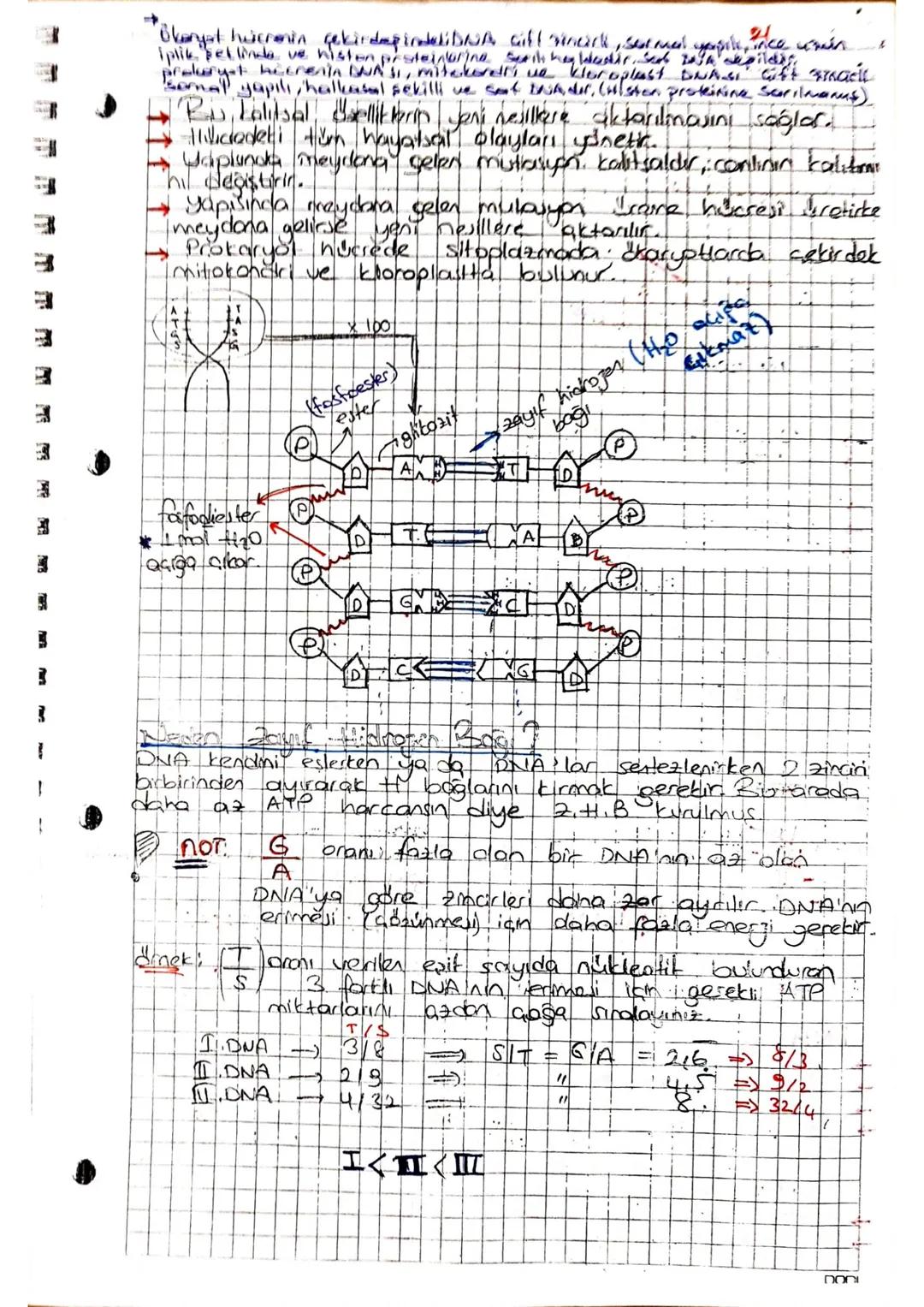 arner Aşağıdakilerden hangisi protemtere ceaitlilik kalsondirer
etmenlerdendir ?
I Yapısındaki peptit bağı sayısının fackliliği
I. Aminoasit