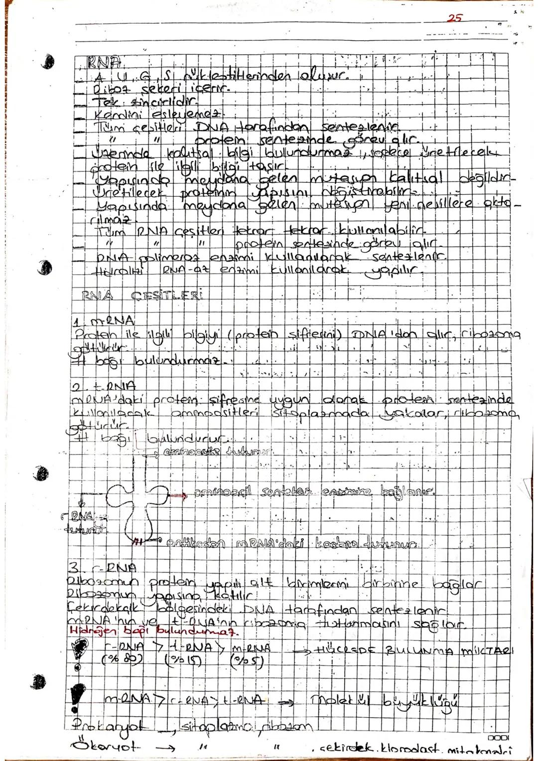 arner Aşağıdakilerden hangisi protemtere ceaitlilik kalsondirer
etmenlerdendir ?
I Yapısındaki peptit bağı sayısının fackliliği
I. Aminoasit