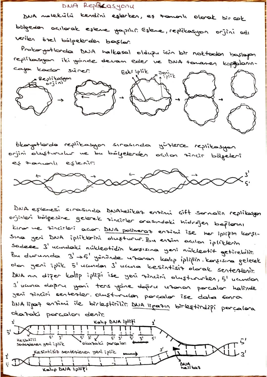 arner Aşağıdakilerden hangisi protemtere ceaitlilik kalsondirer
etmenlerdendir ?
I Yapısındaki peptit bağı sayısının fackliliği
I. Aminoasit