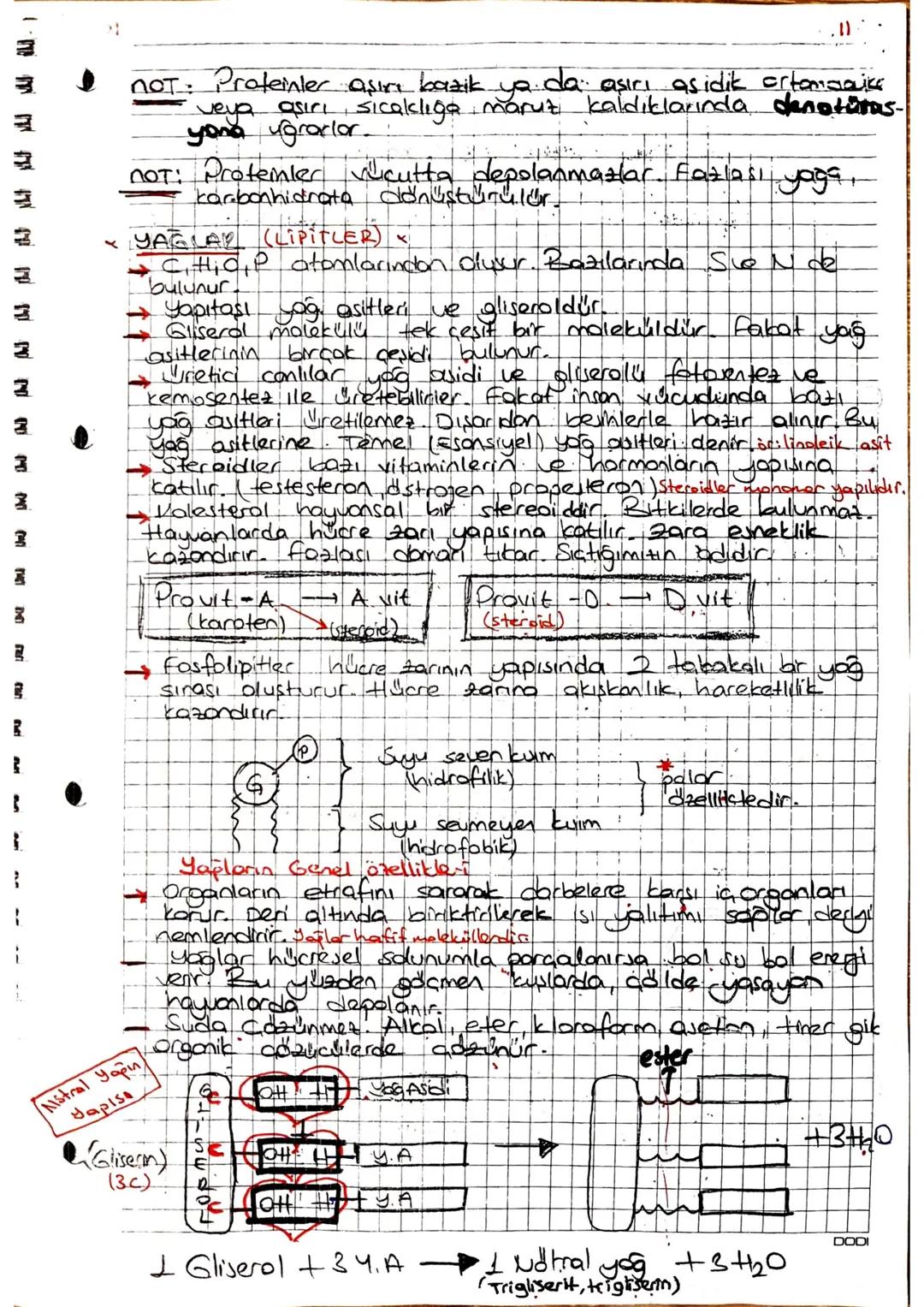 arner Aşağıdakilerden hangisi protemtere ceaitlilik kalsondirer
etmenlerdendir ?
I Yapısındaki peptit bağı sayısının fackliliği
I. Aminoasit