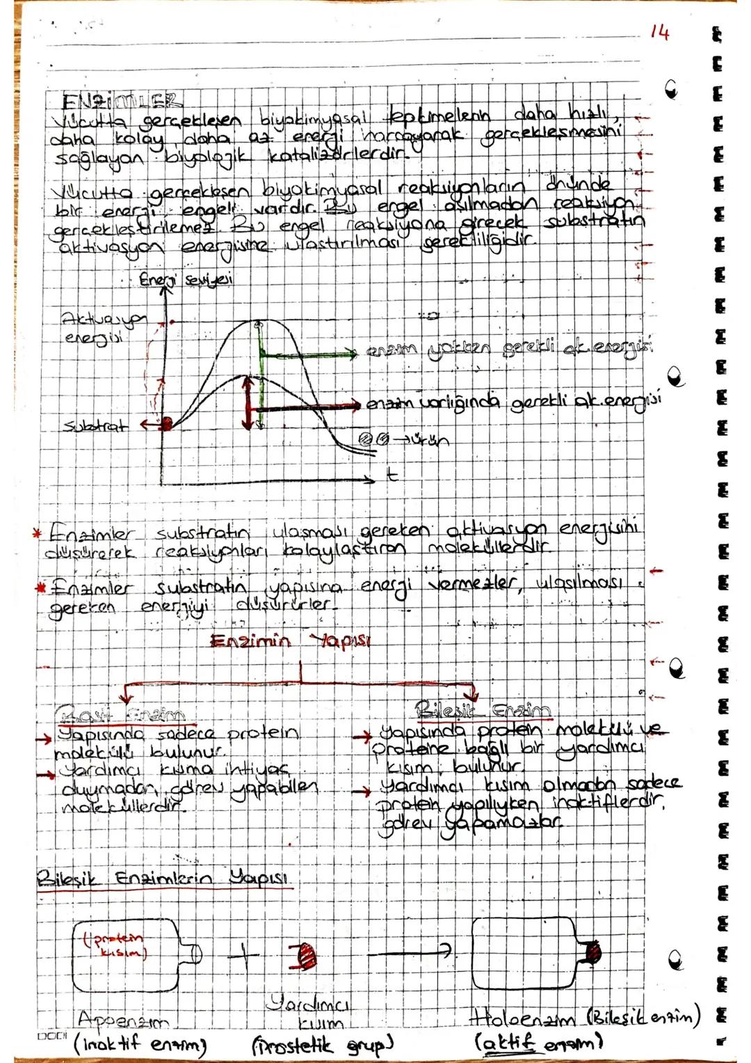 arner Aşağıdakilerden hangisi protemtere ceaitlilik kalsondirer
etmenlerdendir ?
I Yapısındaki peptit bağı sayısının fackliliği
I. Aminoasit