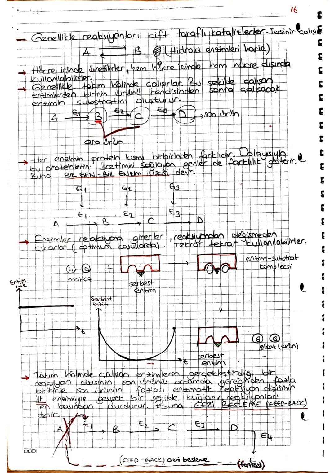 arner Aşağıdakilerden hangisi protemtere ceaitlilik kalsondirer
etmenlerdendir ?
I Yapısındaki peptit bağı sayısının fackliliği
I. Aminoasit