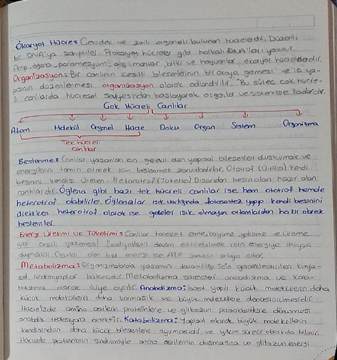 9.SINIF BIYOLOJİ (TYT)
1.TEMA
YASAM
Biyolojinin Önemi ve Blyobjideki Dōrom Nokiallen insan hayatına kattilall
Biyologi Canlıların yapılarını