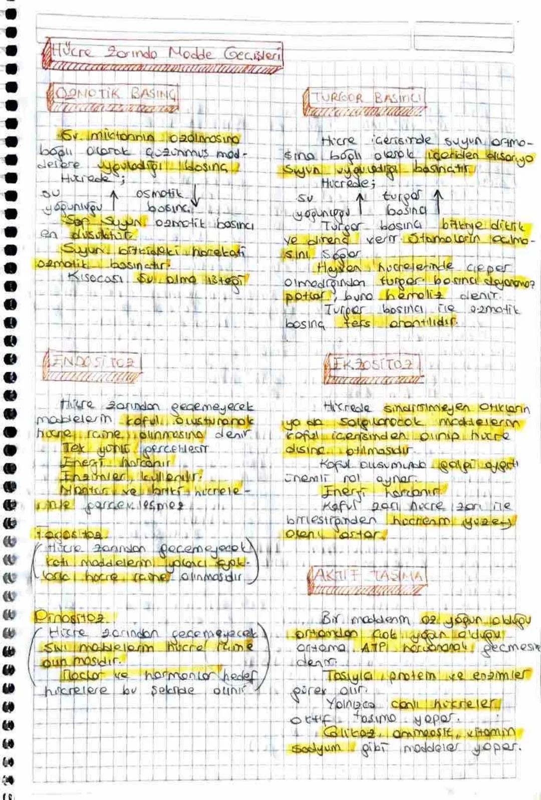 Hücre Zorindo Modde Geçişleri
OONOTIK BASING
6. mistonnin020masing
bool olarak
delore youtodior dosing
30
yoğunluğu
Quachmus mod-
osmotik
bo