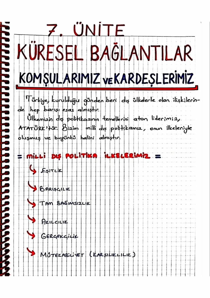 MİLLİ DIS POLİTİKA İLKELERİMİZ
1.EŞİTLİK: Tüm devletlerin siyasi olarak eşit
olması.
2.BARISCILIK: Atatürk'ün "Yurtta Barış, Dünyada
Barış "