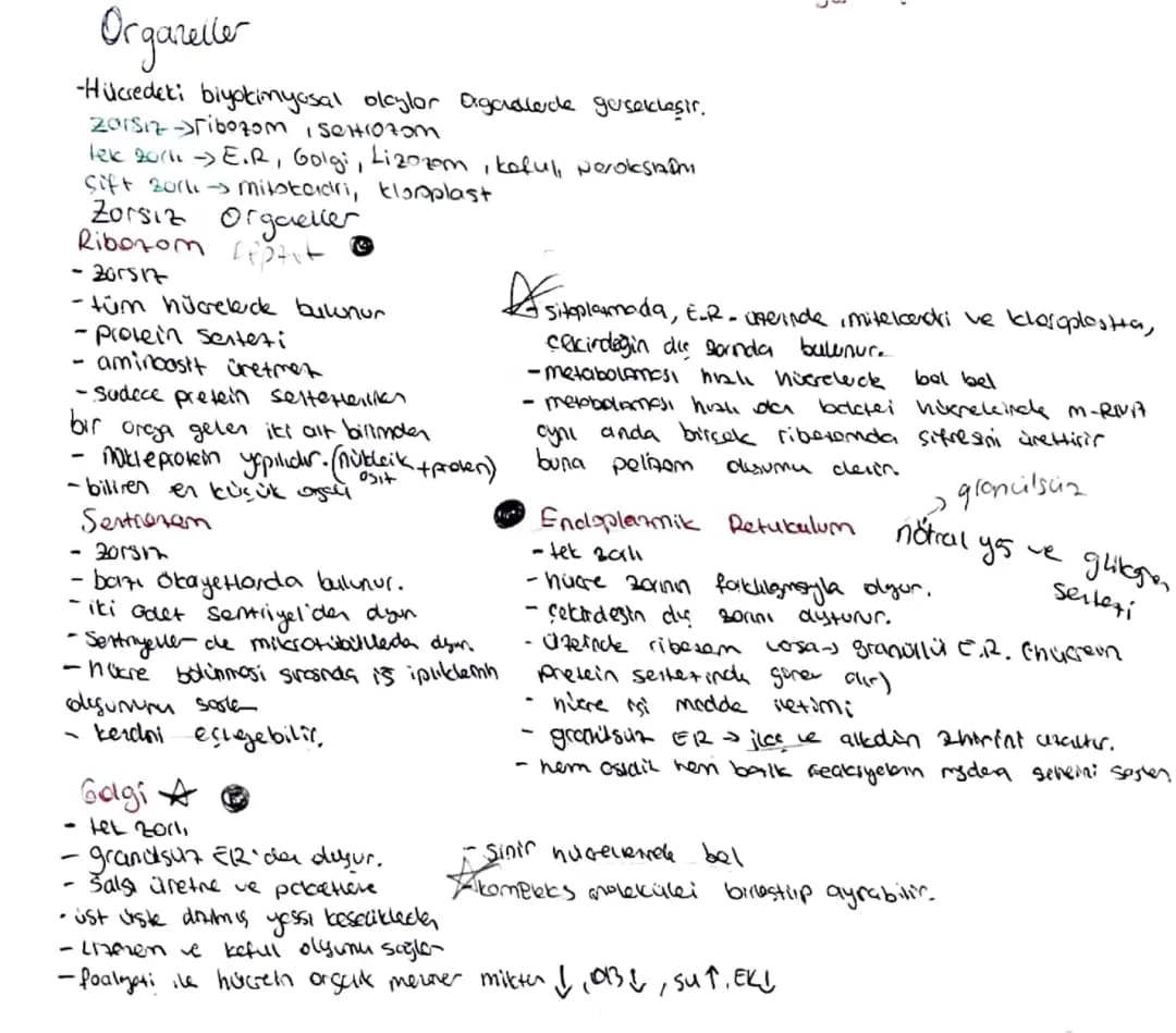 Hücre Organelleri ve Görevleri 9. Sınıf PDF ve Özet