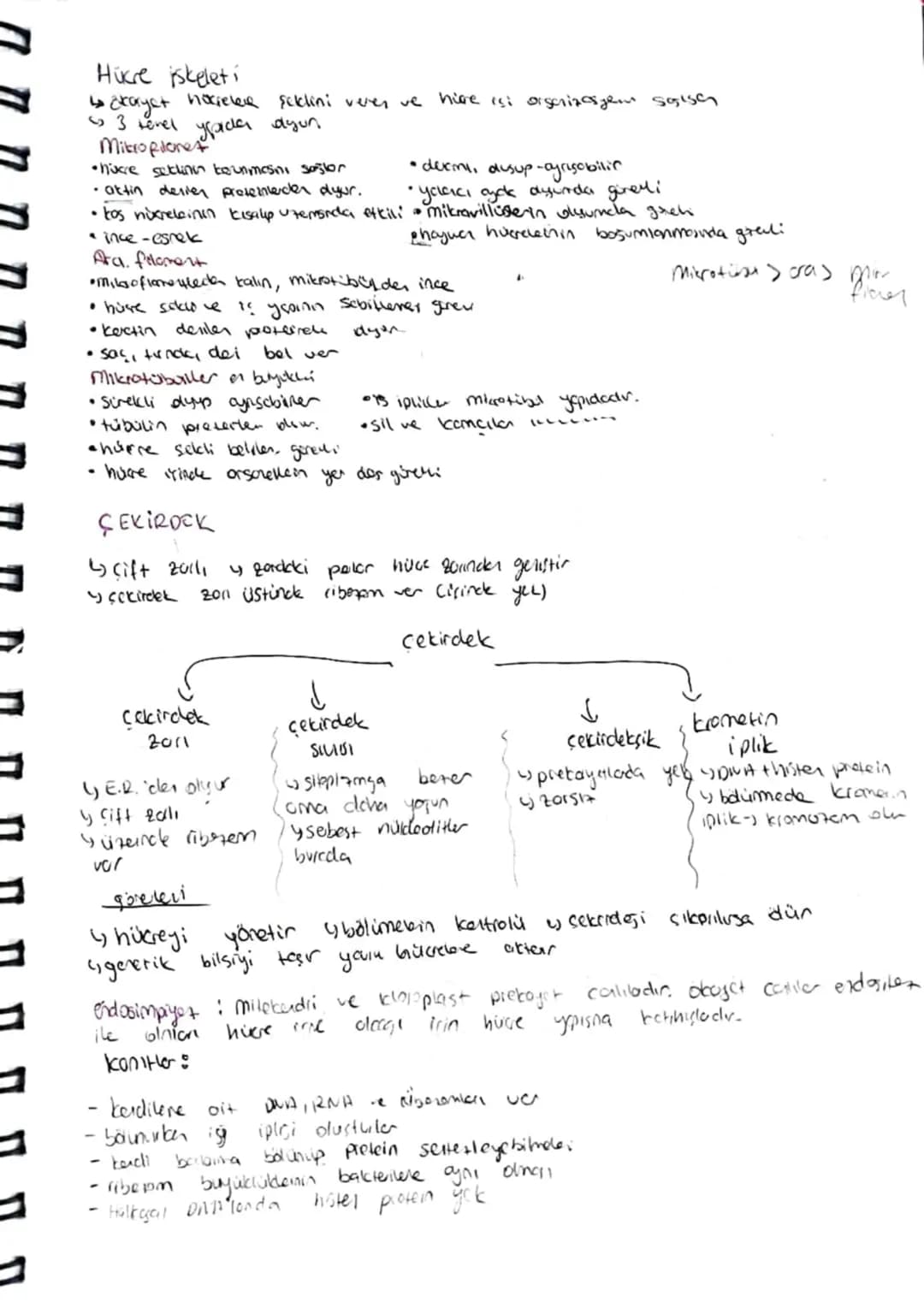 Organeller
-Hücredeki biyokimyasal olcylor Digadlede gesekleşir.
20rsiz-ribozom, Sextrozon
tek 20111 -> E.R, Golgi, Lizozom, keful, peroksAD