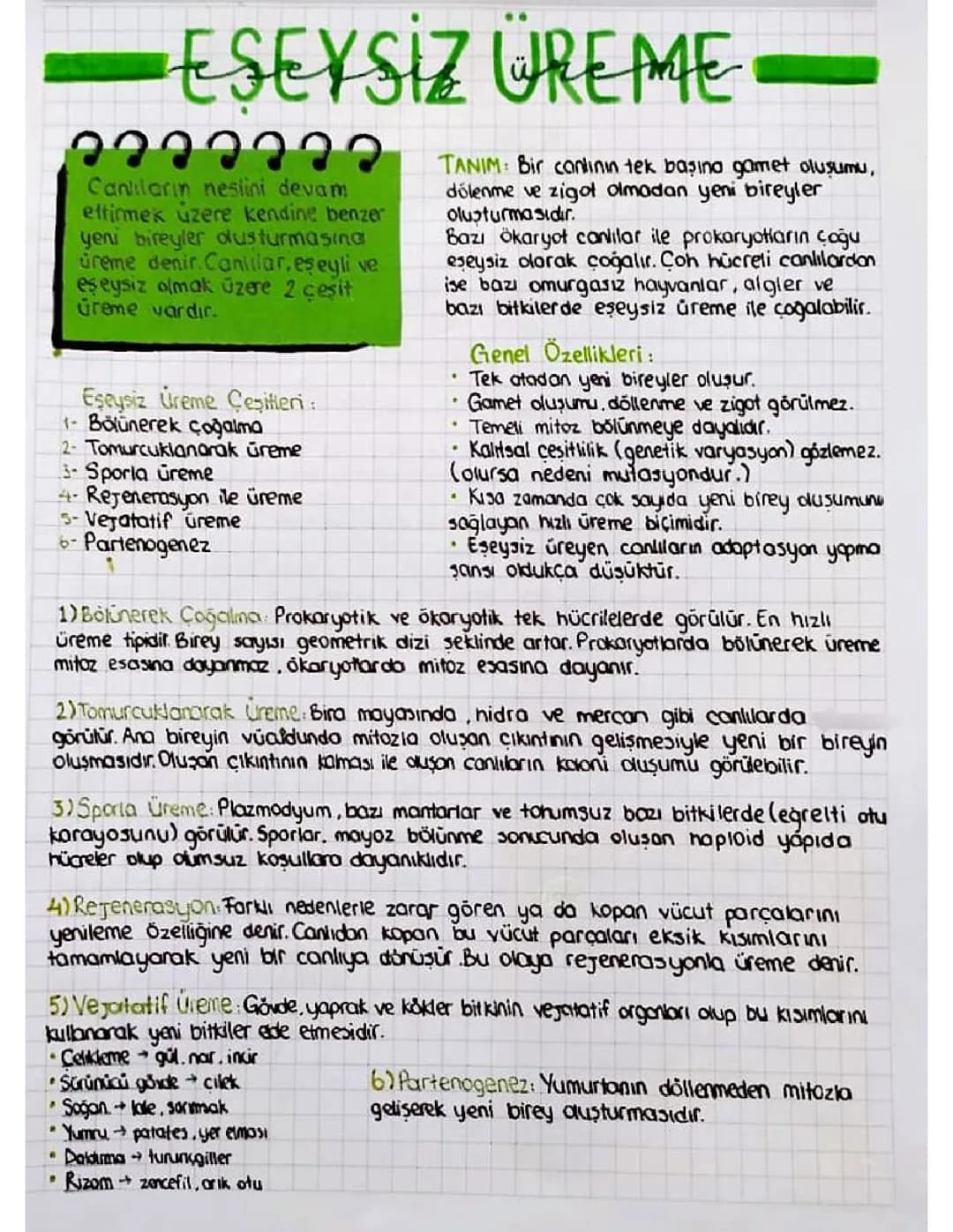 Eşeysiz Üreme 
