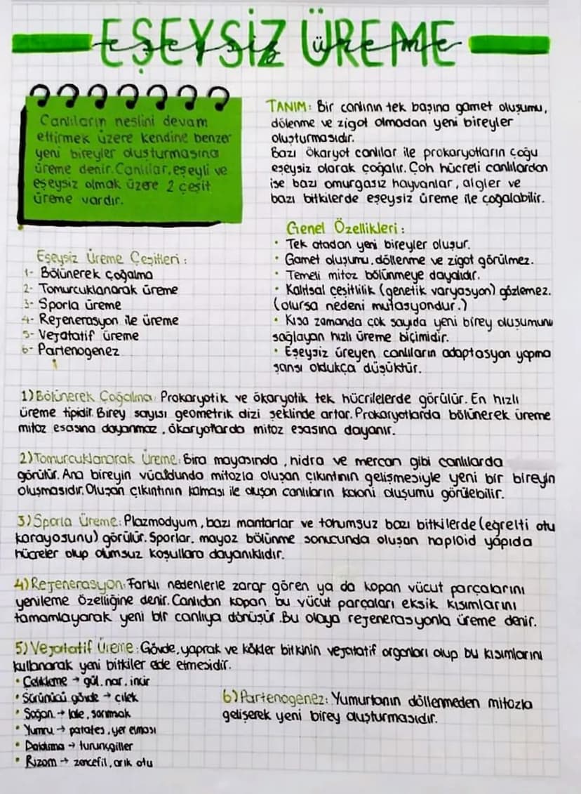 ESEYSIZ WREME
Canlıların neslini devam
ettirmek üzere kendine benzer
yeni bireyler dusturmasing
úreme denir.Canillar.eşeyli ve
eseysiz olmak