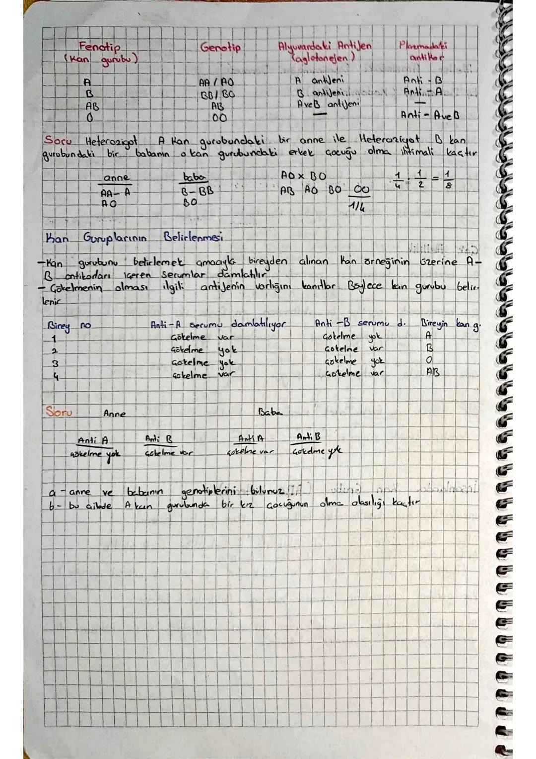 Profaz I
h
Sitokinez
n
Mayoz Ve Eseyli Üreme
**
->
-8-%
100円
Metefazl
ད
Telofaz I
k
Anafaz I
الهد
mayoz I sonunda oluşan "n" Kromozomlu yavr