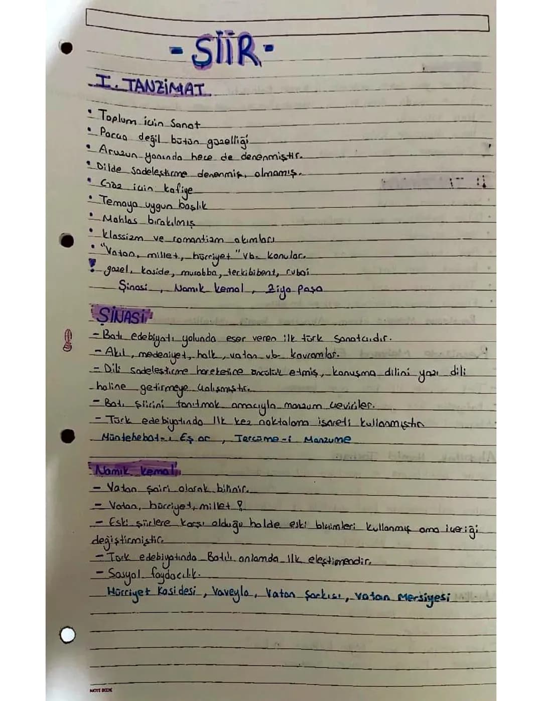 11 edebiyat 