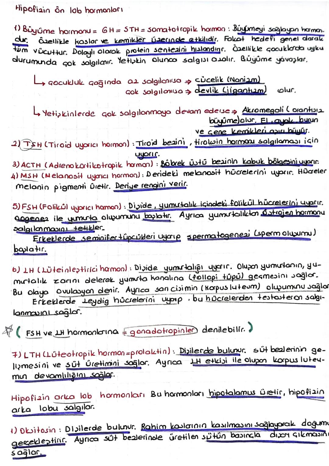 Hipofizin on lob hormonları
1) Büyüme hormonu = 6H = STH = somatotropik hormon: Büyümeyi sağlayan hormon.
dur. Özellikle kaslar ve kemikler 