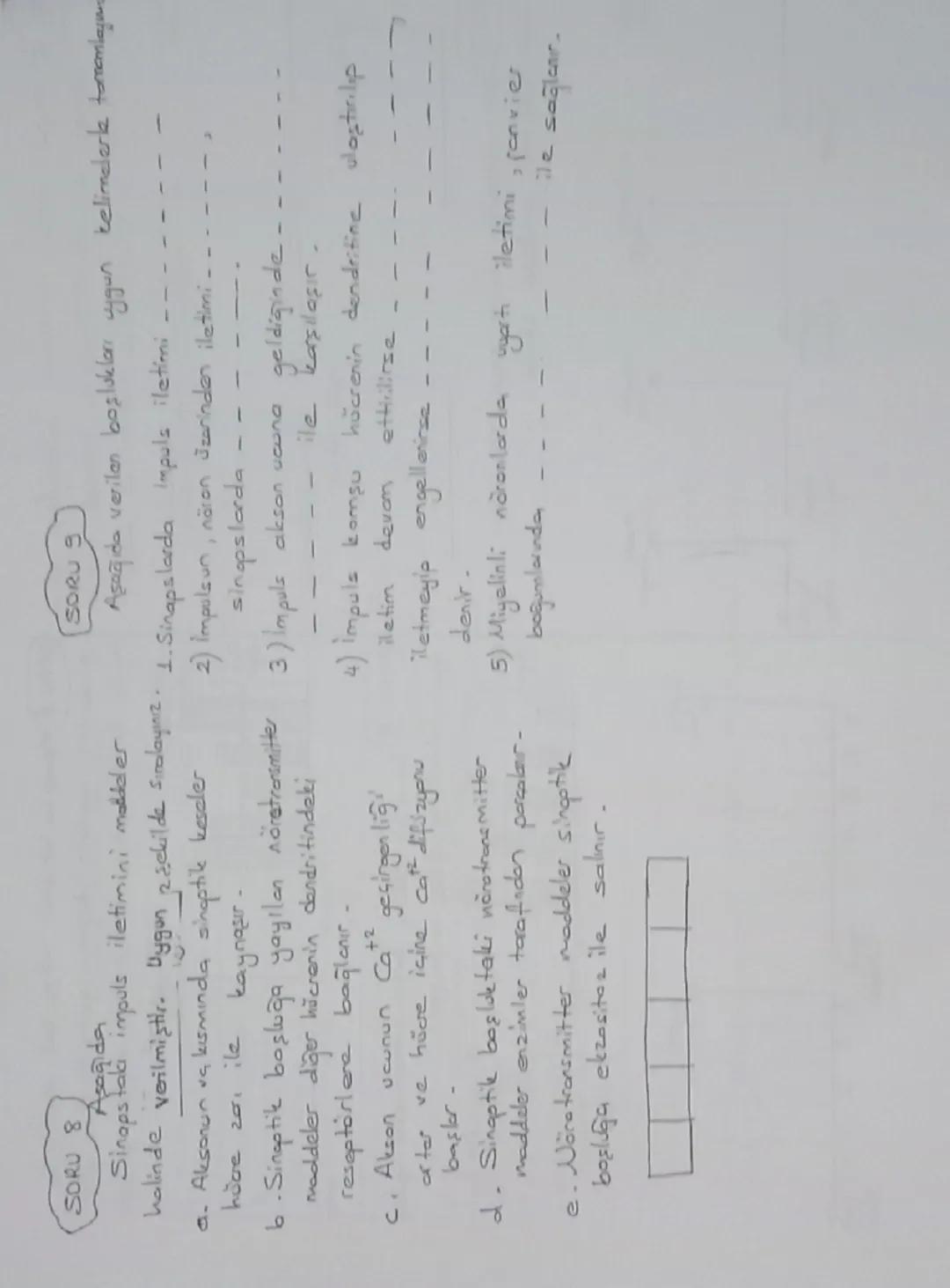 Sinir Doku: Sinir hücreleri + Yardımcı hücreler
atlamal iletim
(Nöron)
(Glia) (Nöroglia)
-Sinir hücreleri aralarında
bulunur
Sinir hücreleri