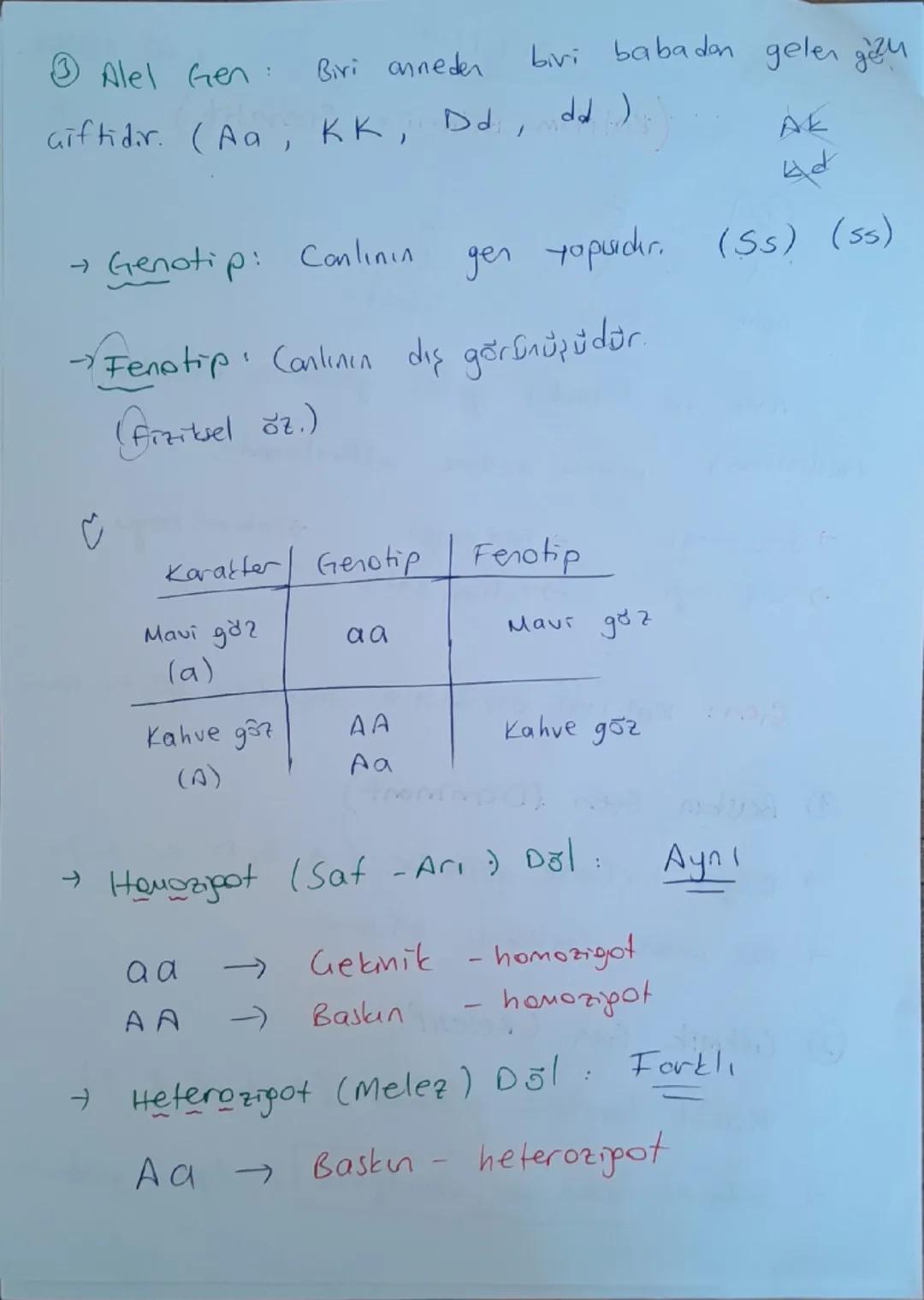 KALI TIM
(Kalıtım Bilimi = Genetik)
1.10.2024
1
Anne
Baba
Çocuk
→ Anne ve babadan gelen genlerin (kalıtsal
özelliklerm) yavru döllere aktarı